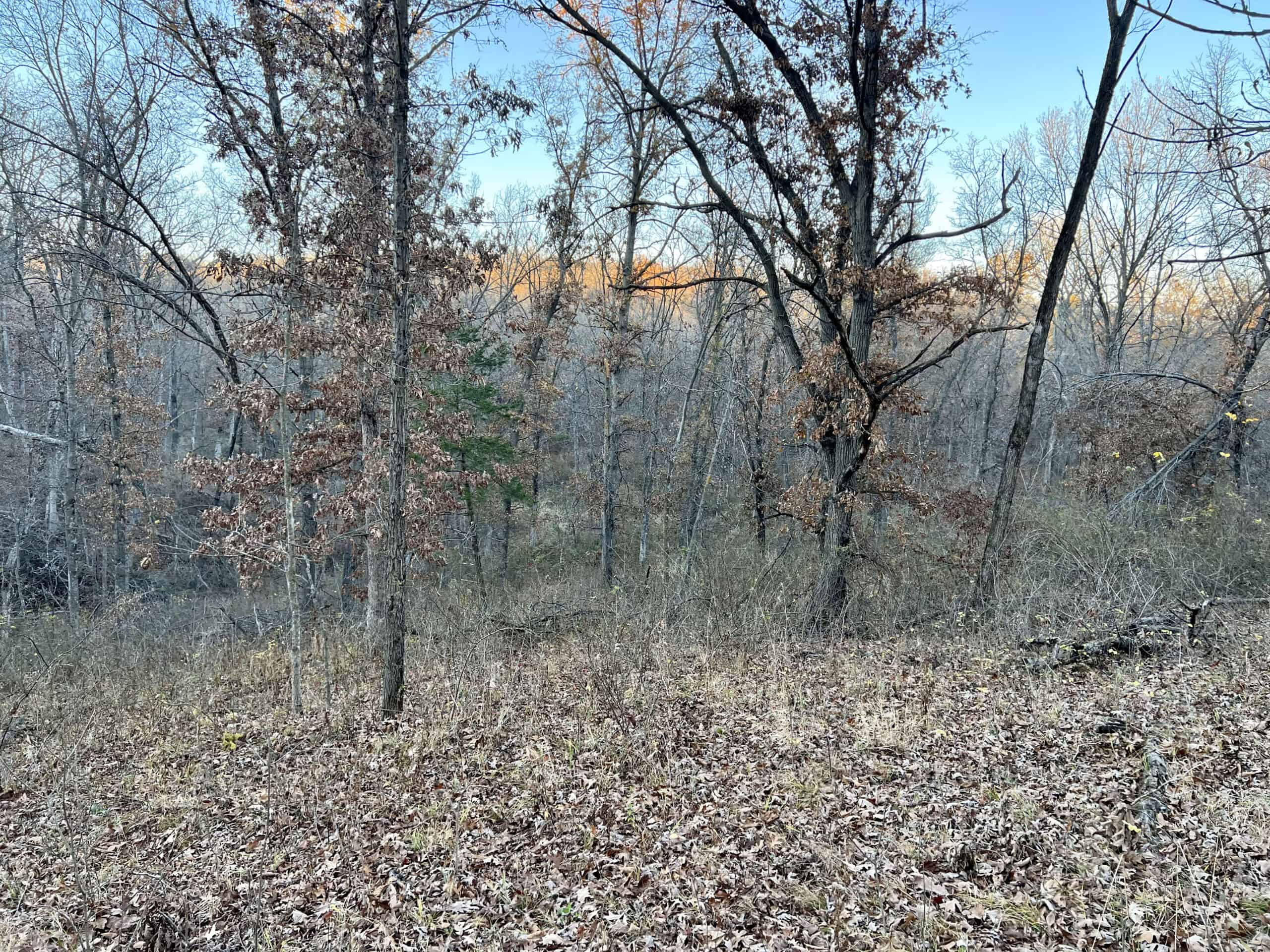 Appanoose County Wooded Recreational Property