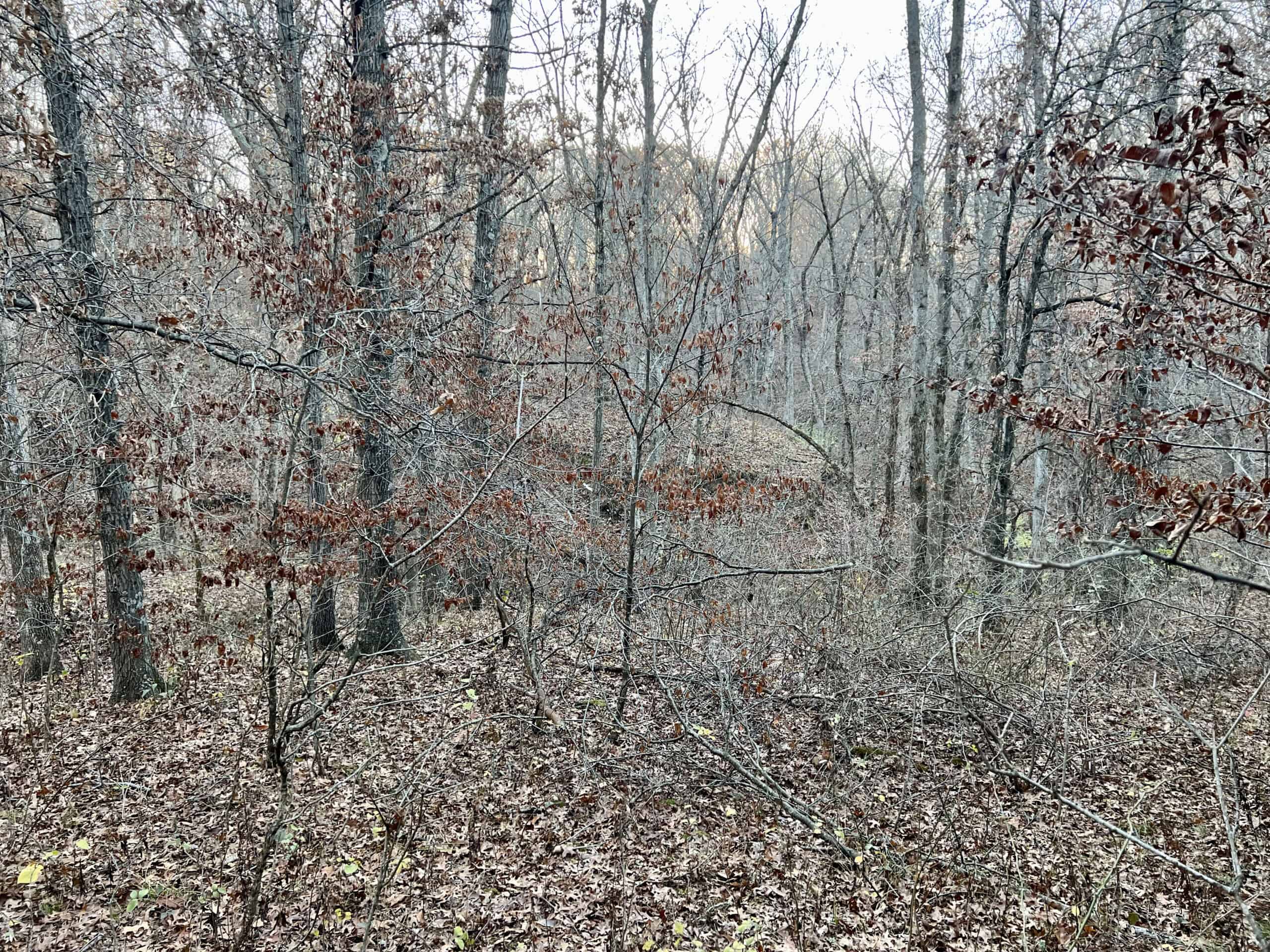 Appanoose County Wooded Recreational Property