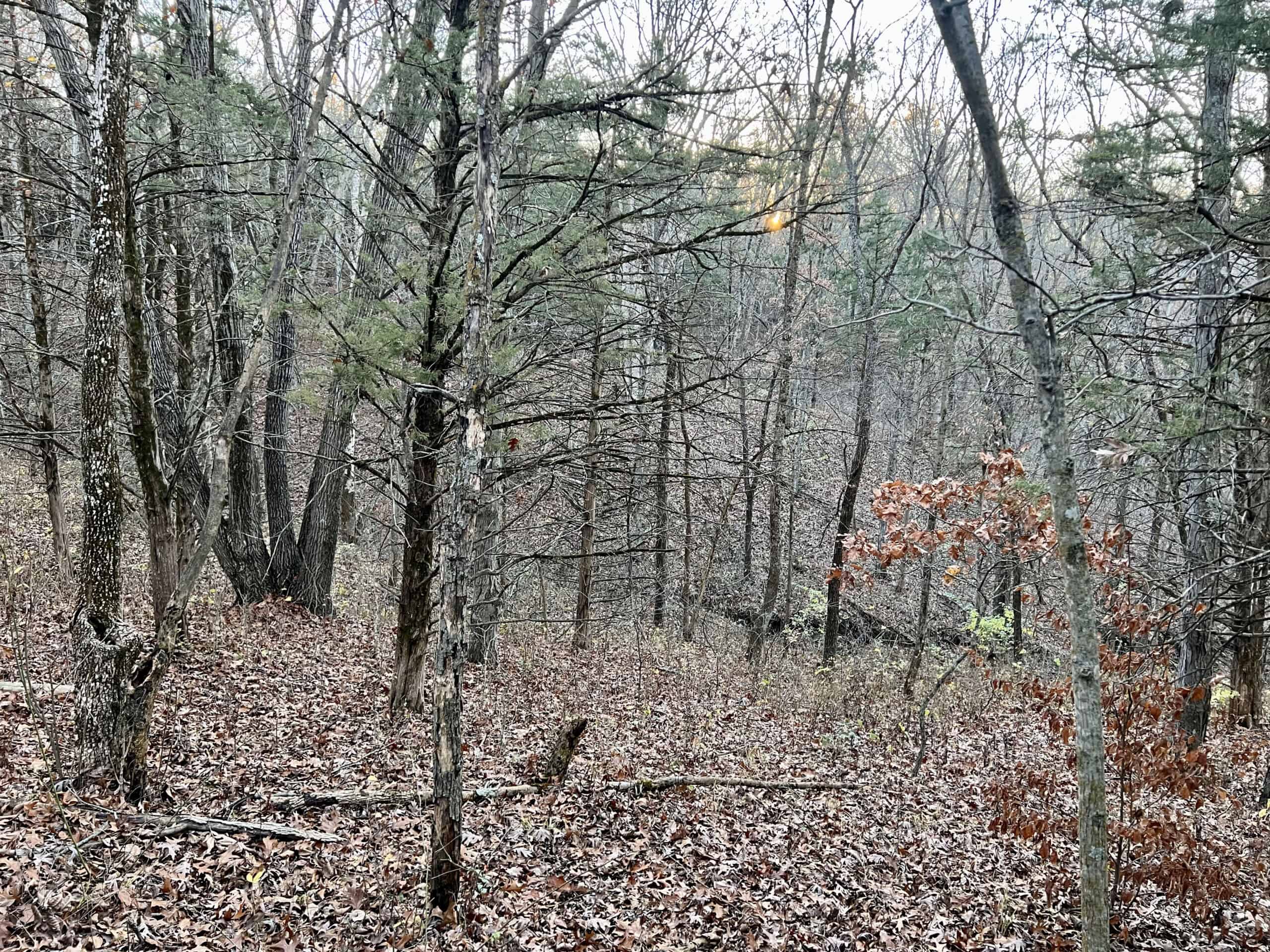 Appanoose County Wooded Recreational Property