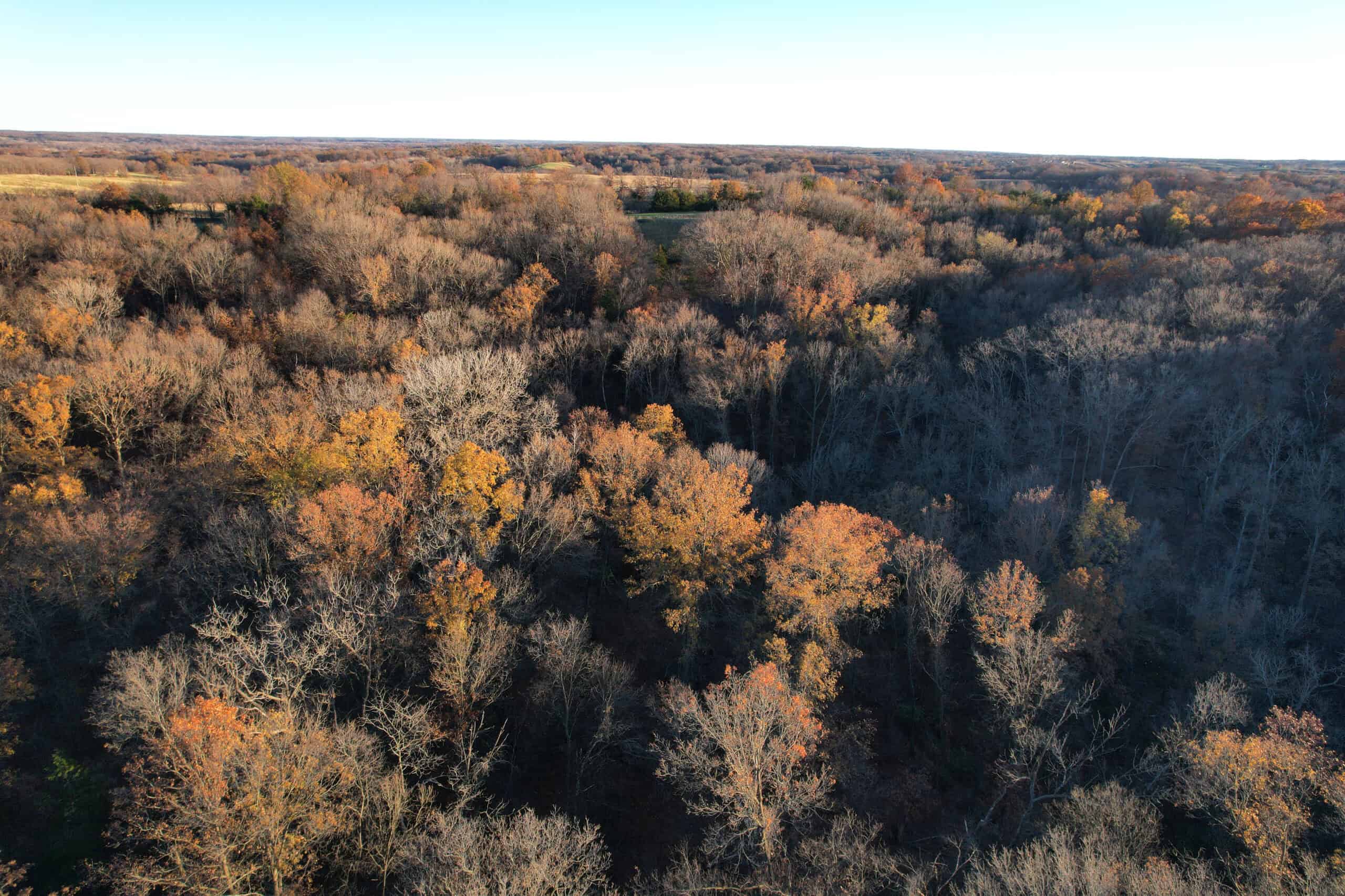 Appanoose County Wooded Recreational Property