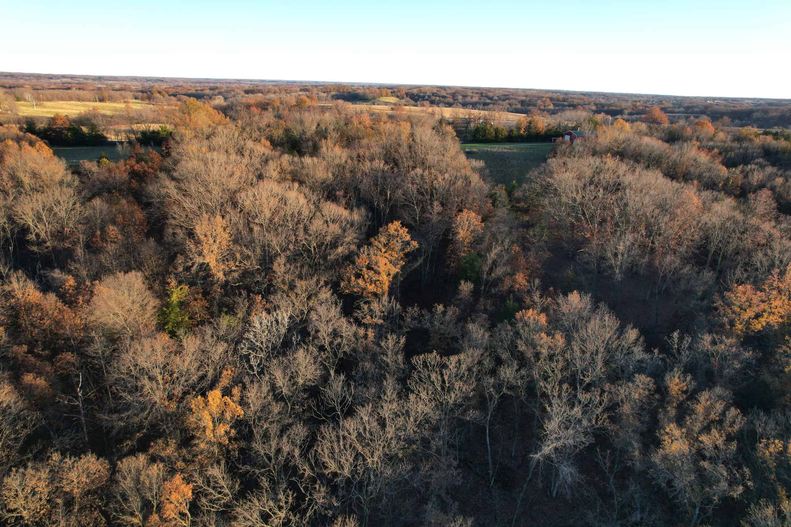 Appanoose County Wooded Recreational Property