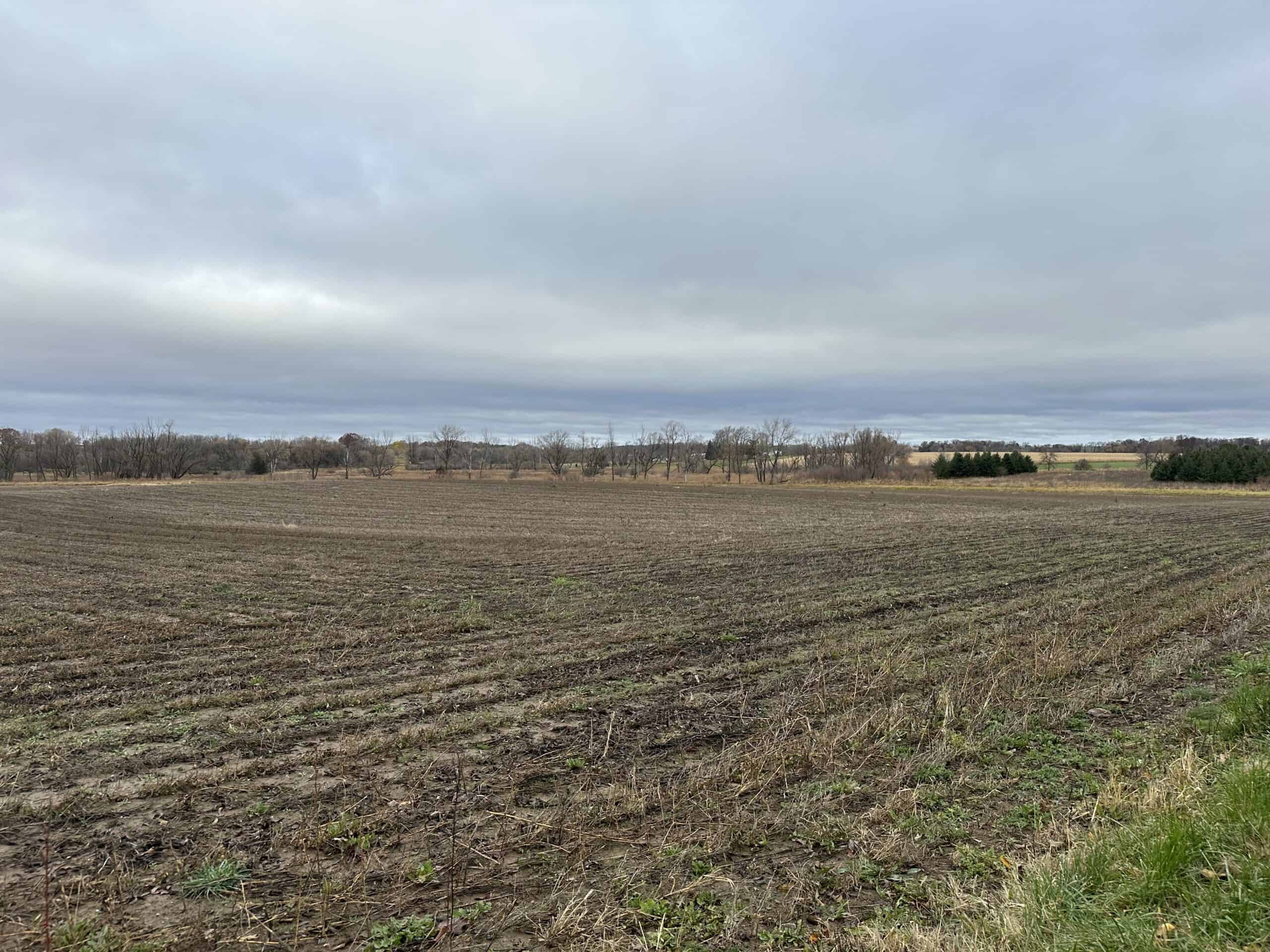 Tillable land, Hunting Land, And Buildable Ripon WI