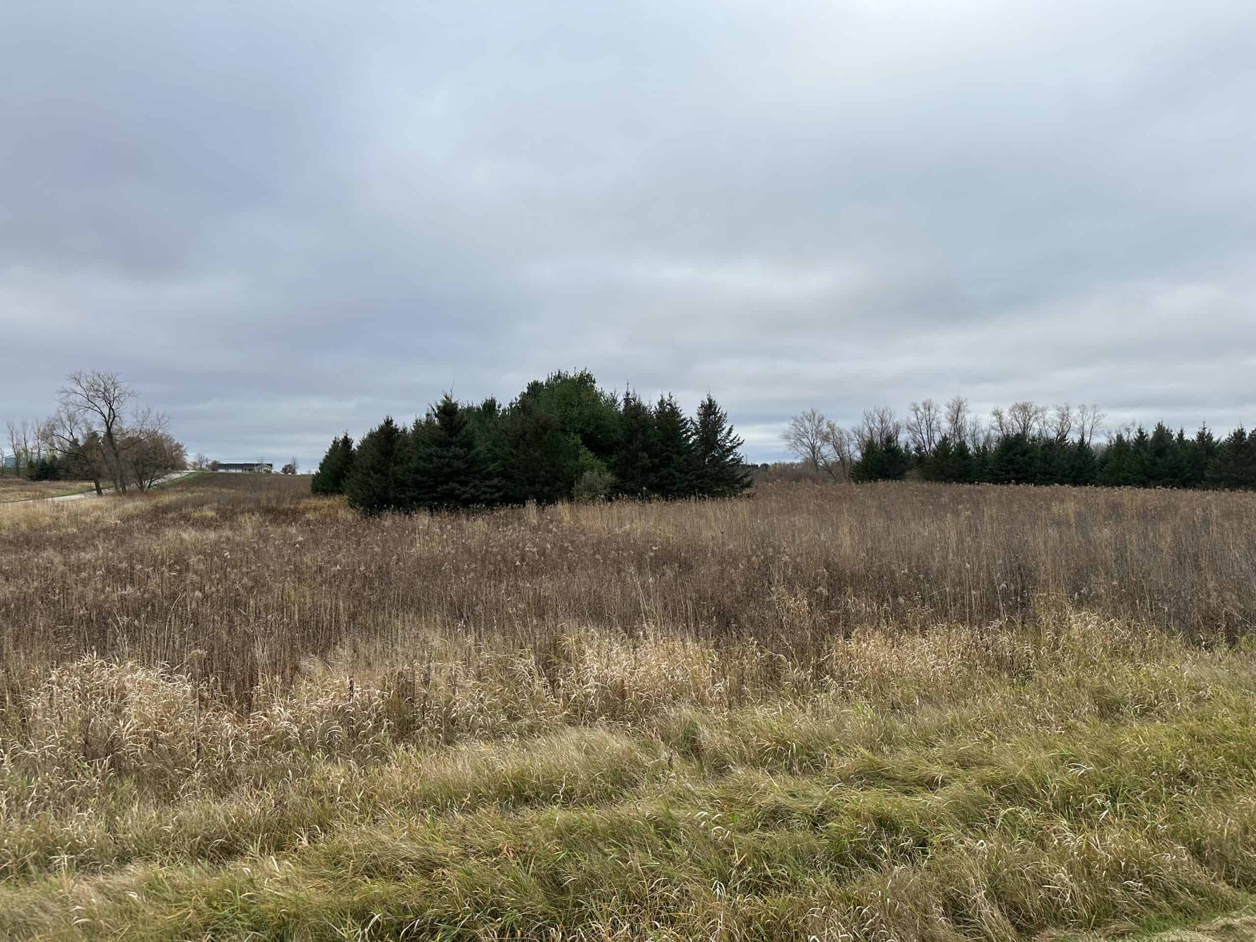 Tillable land, Hunting Land, And Buildable Ripon WI