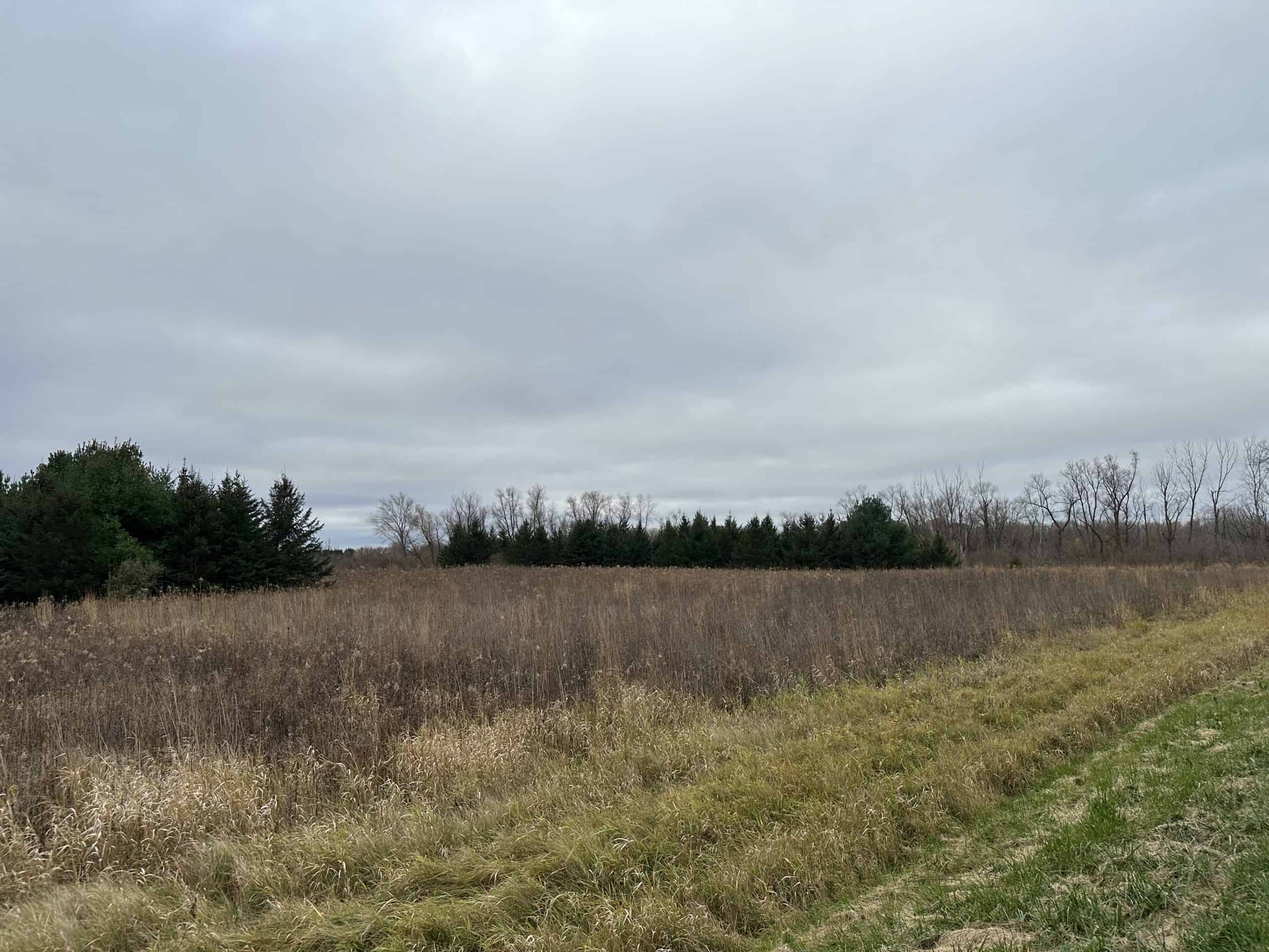 Tillable land, Hunting Land, And Buildable Ripon WI