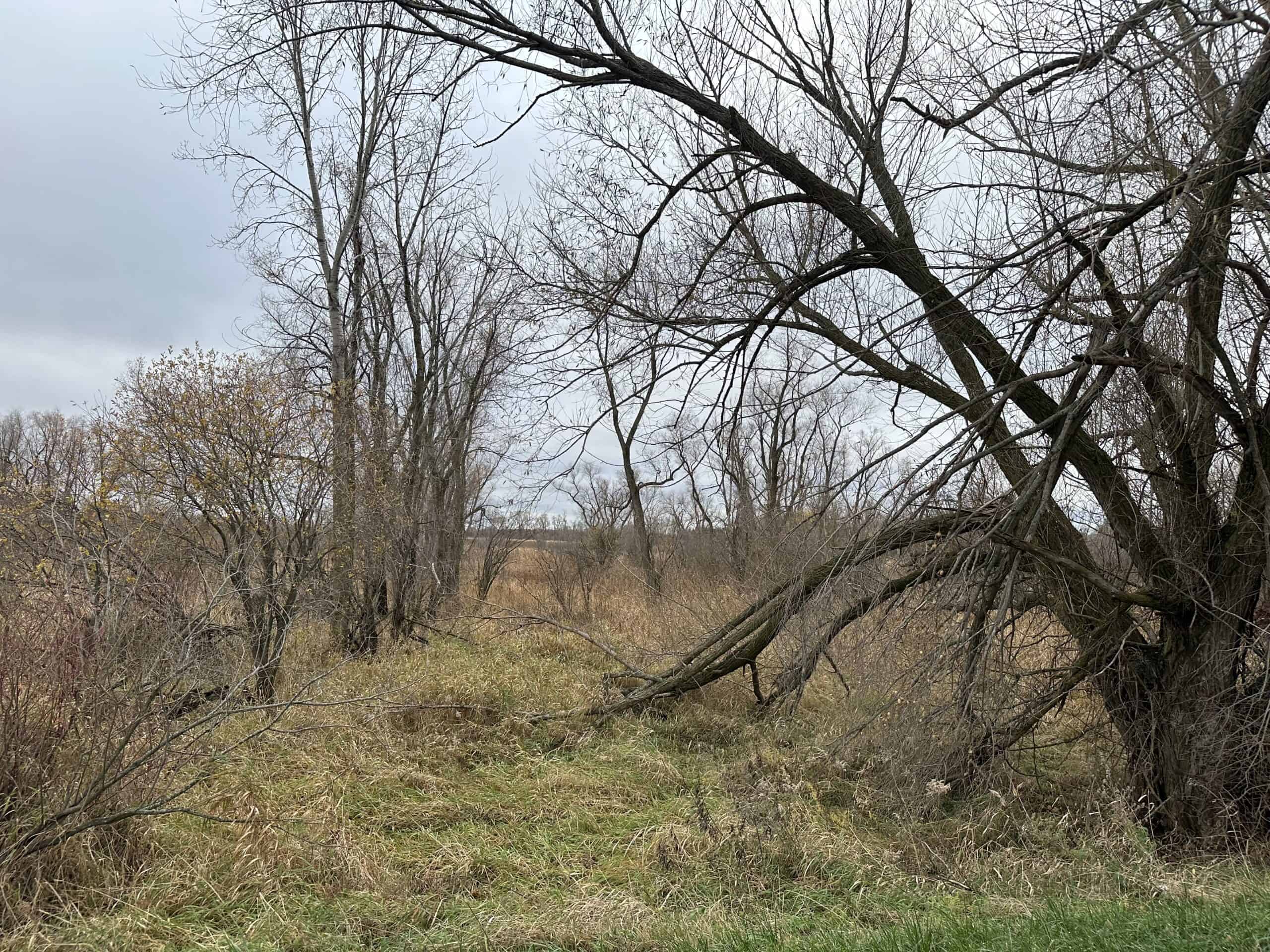 Tillable land, Hunting Land, And Buildable Ripon WI
