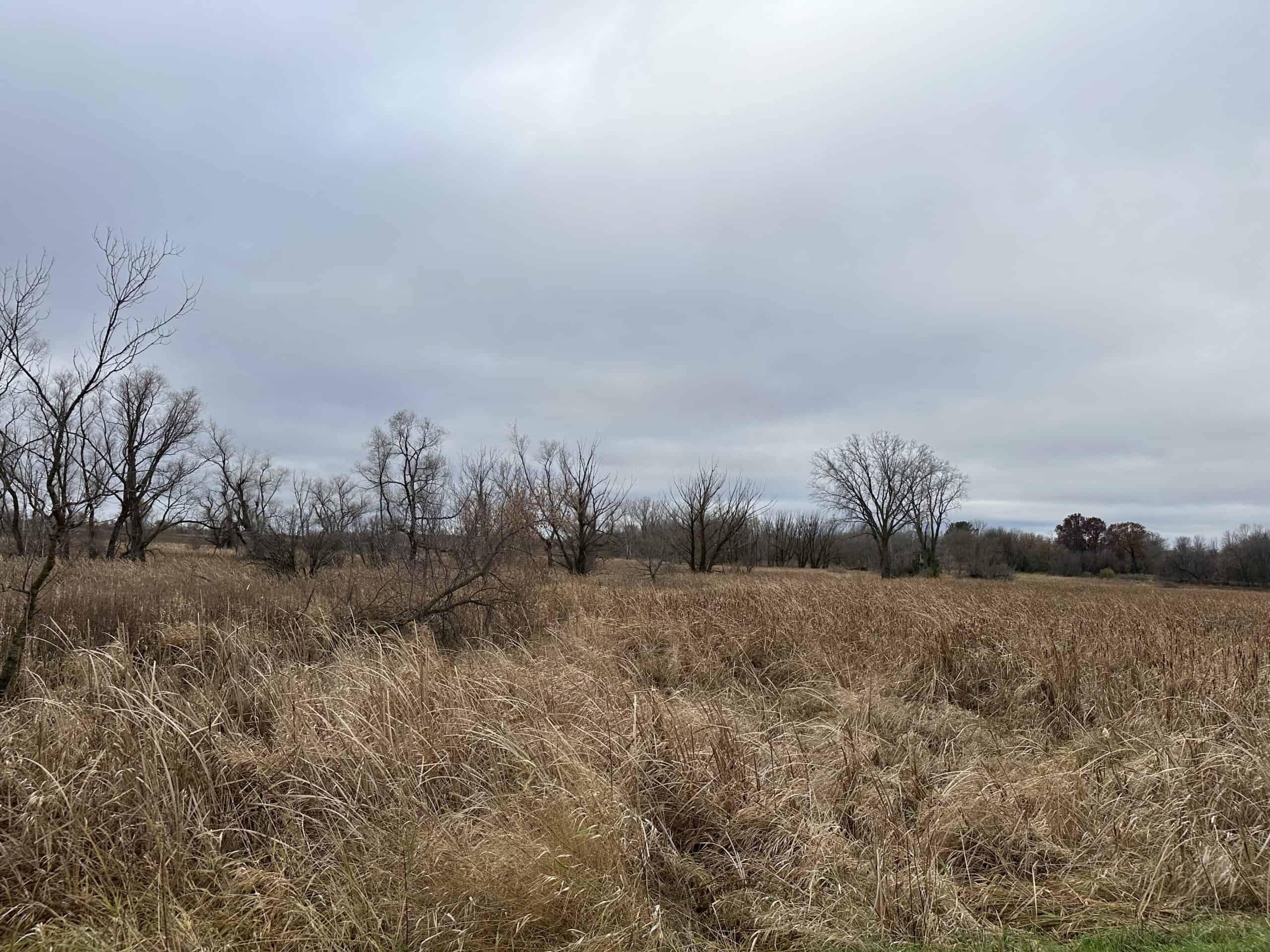 Tillable land, Hunting Land, And Buildable Ripon WI