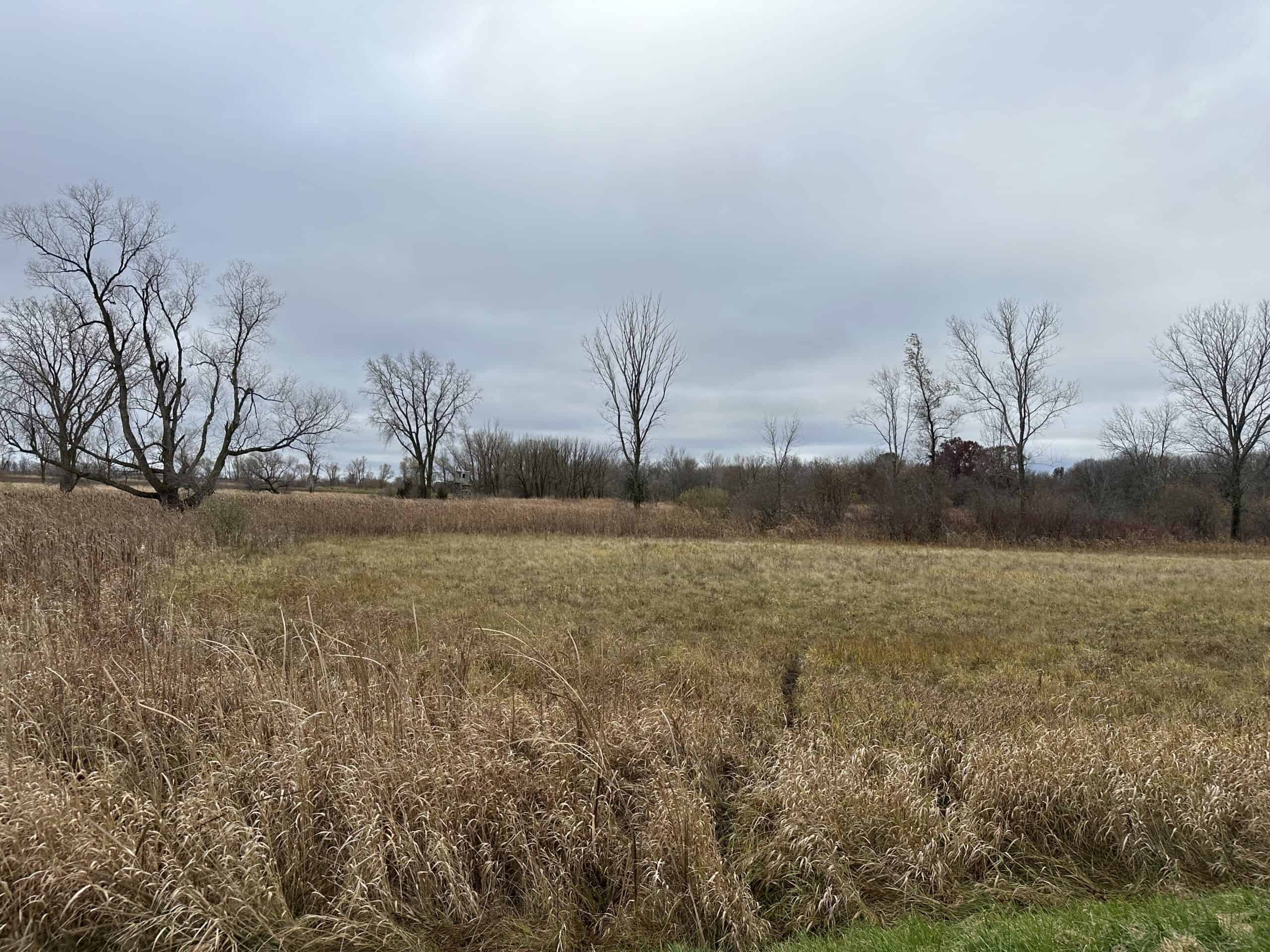 Tillable land, Hunting Land, And Buildable Ripon WI