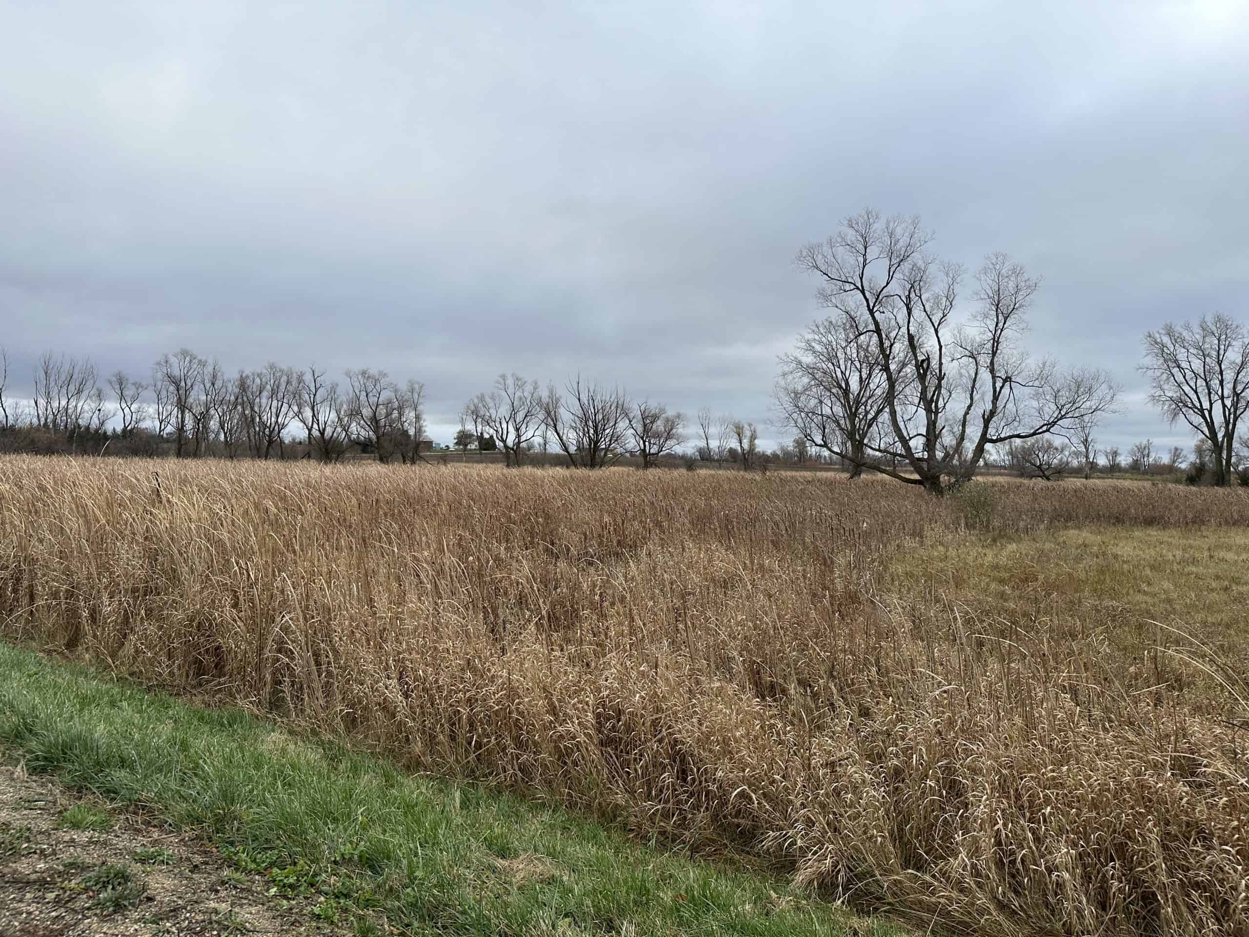 Tillable land, Hunting Land, And Buildable Ripon WI