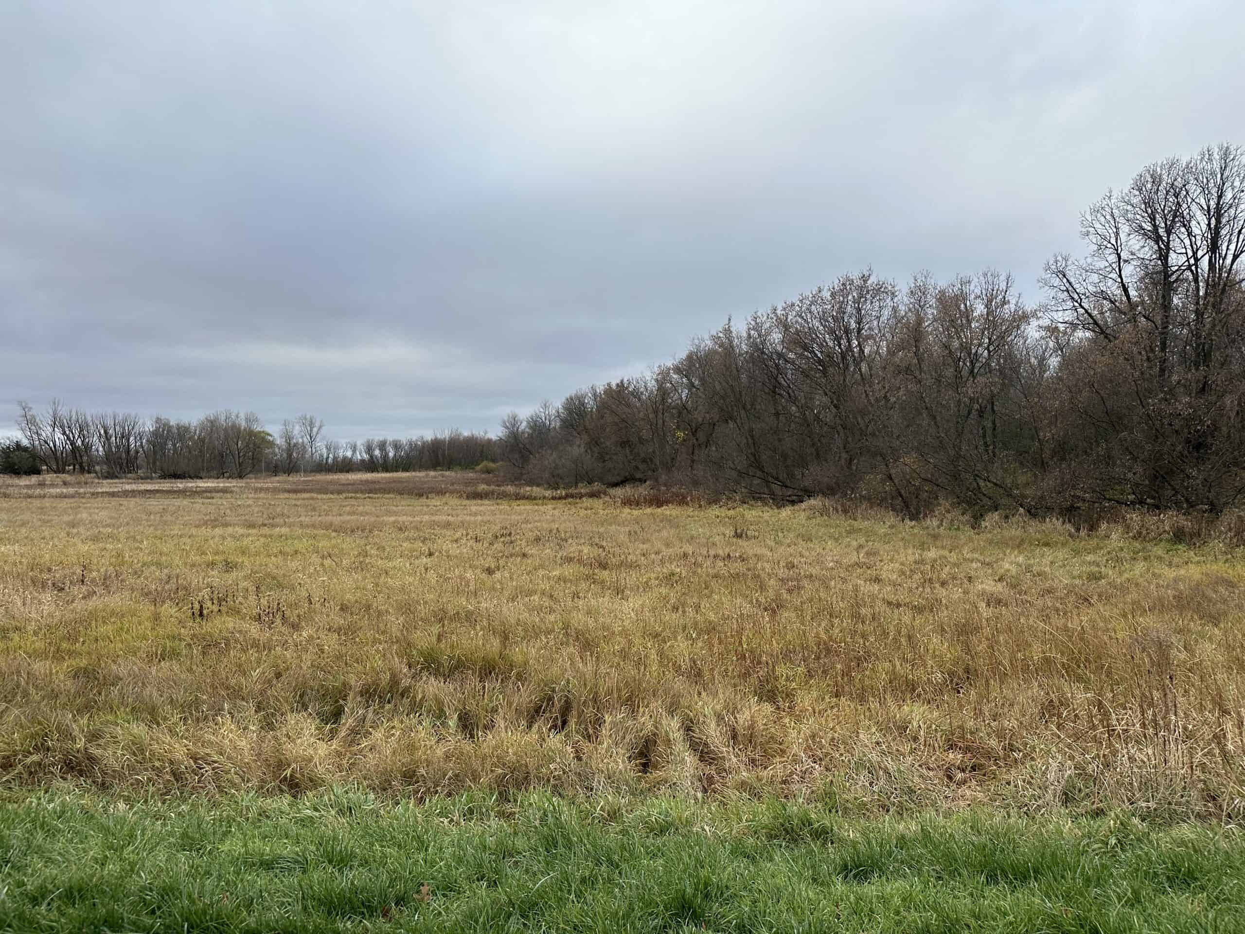 Tillable land, Hunting Land, And Buildable Ripon WI