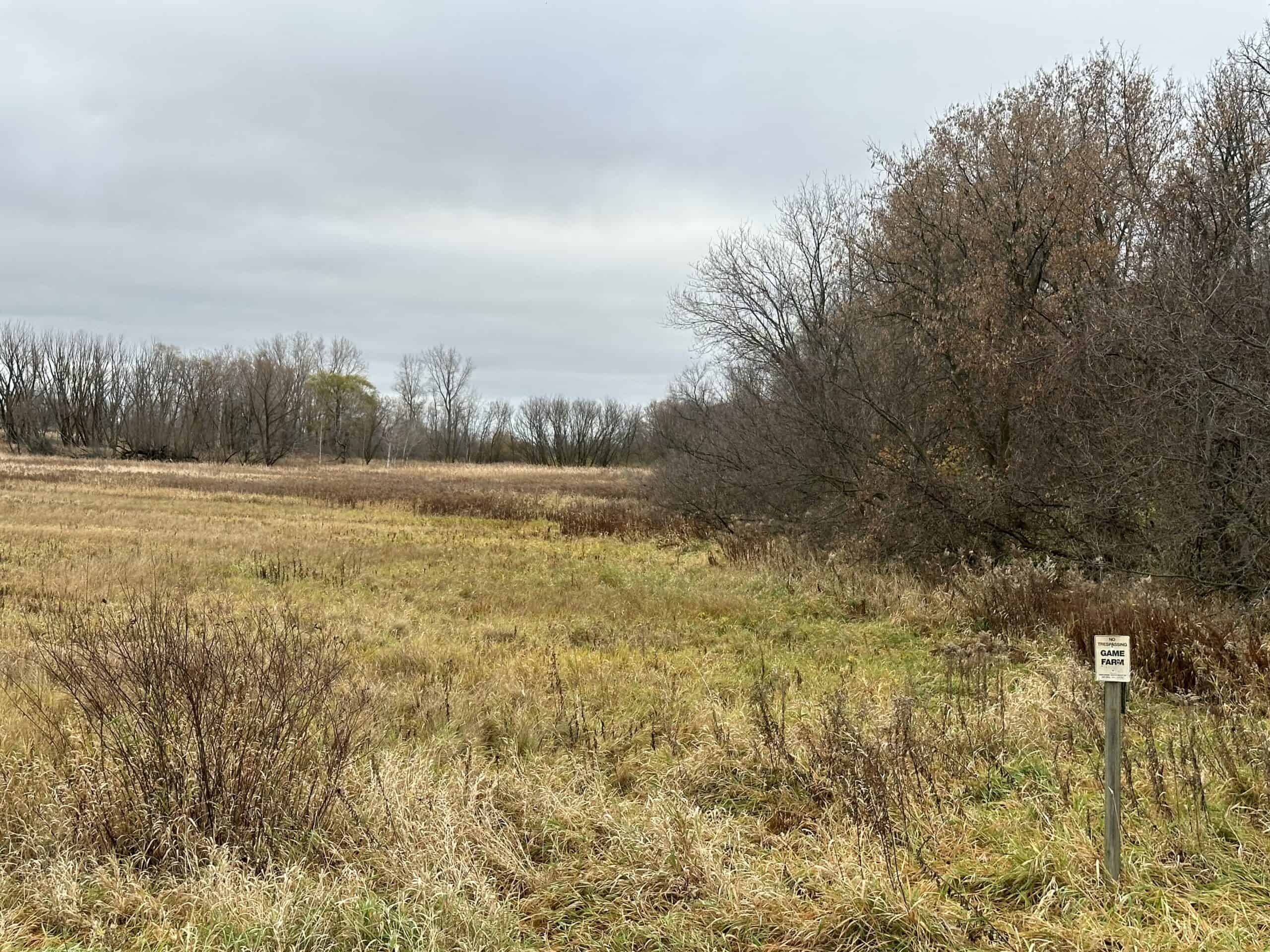 Tillable land, Hunting Land, And Buildable Ripon WI