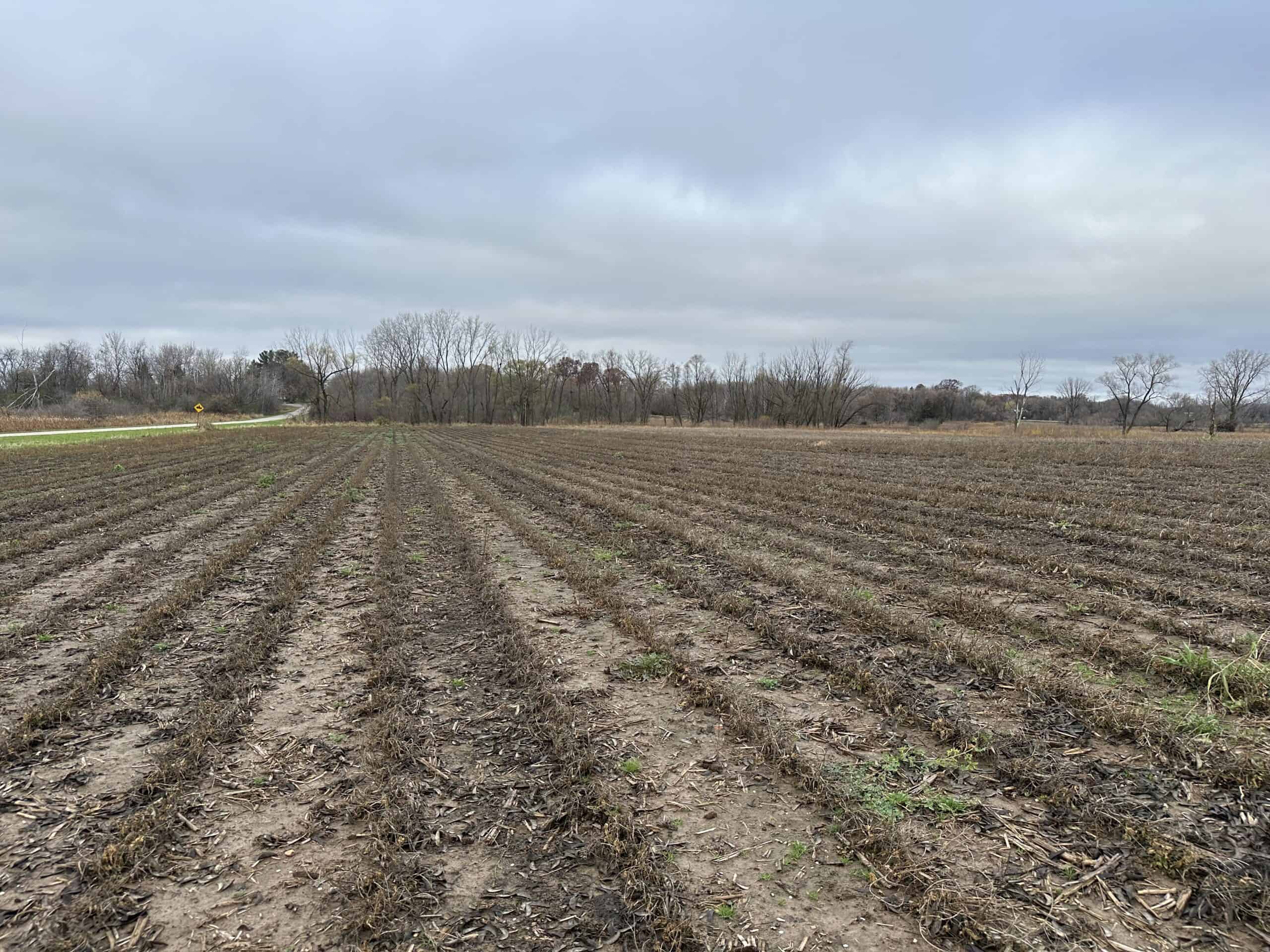 Tillable land, Hunting Land, And Buildable Ripon WI