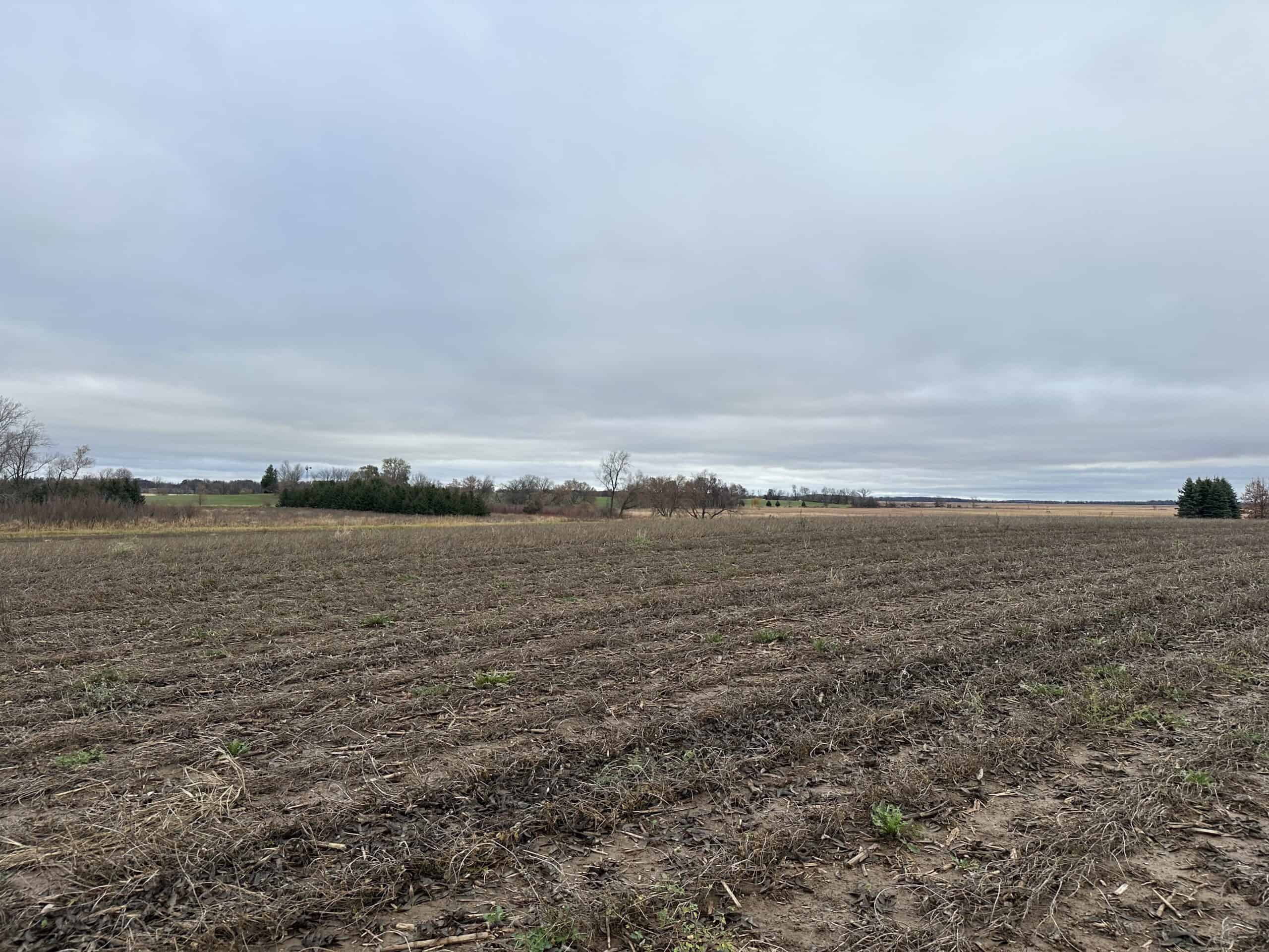 Tillable land, Hunting Land, And Buildable Ripon WI