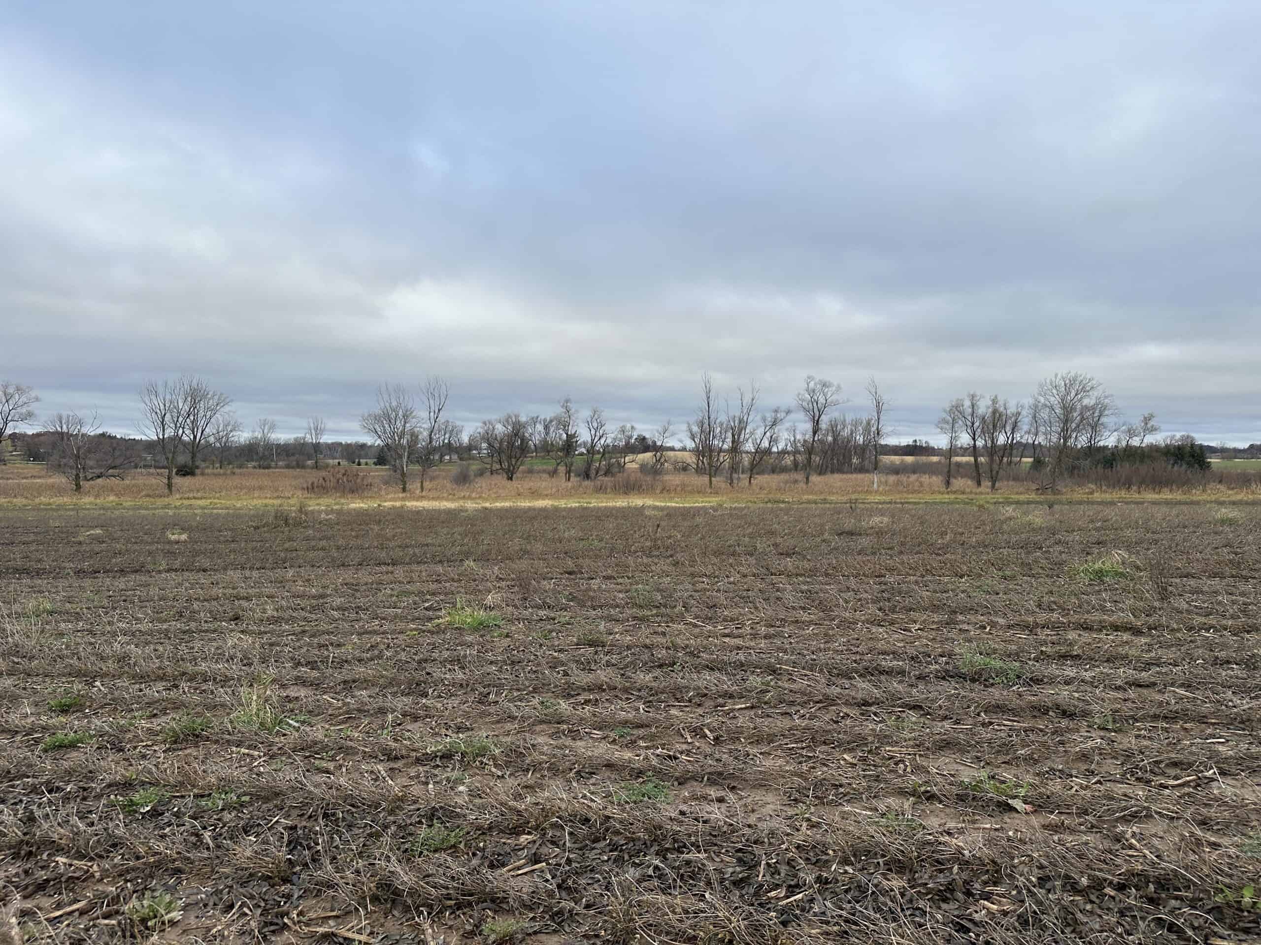Tillable land, Hunting Land, And Buildable Ripon WI
