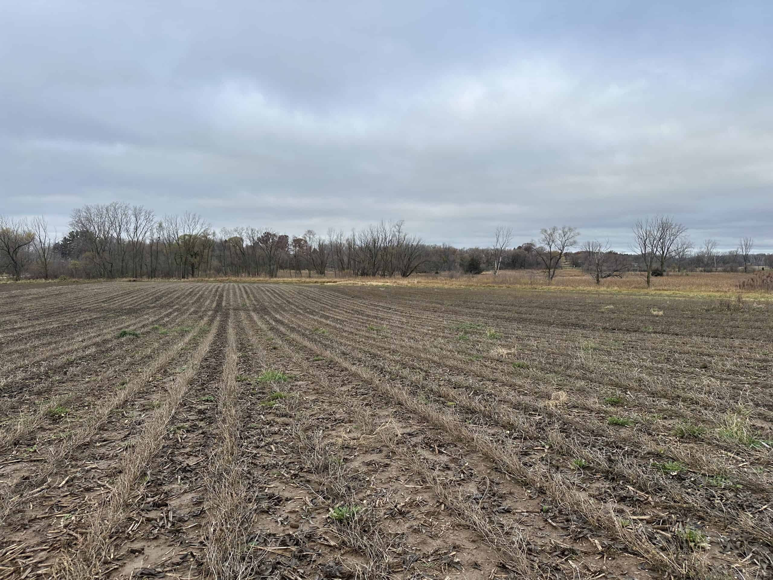 Tillable land, Hunting Land, And Buildable Ripon WI