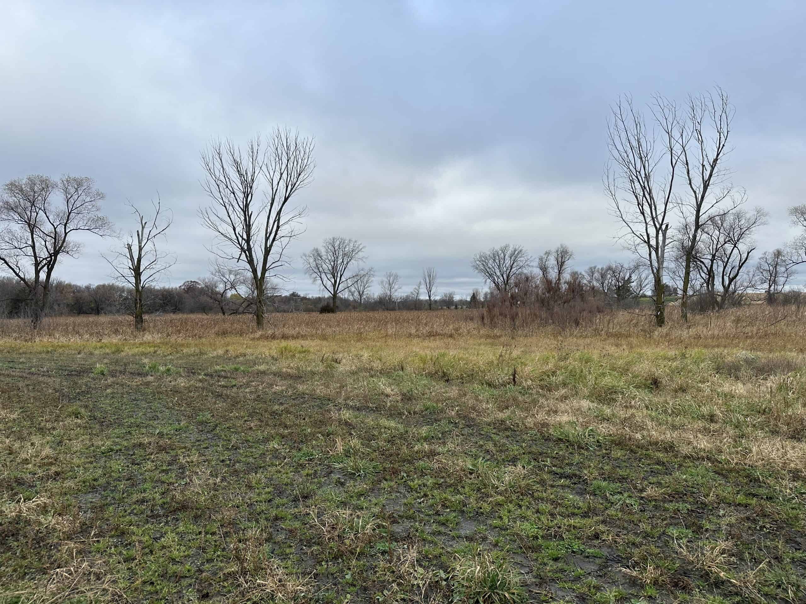 Tillable land, Hunting Land, And Buildable Ripon WI