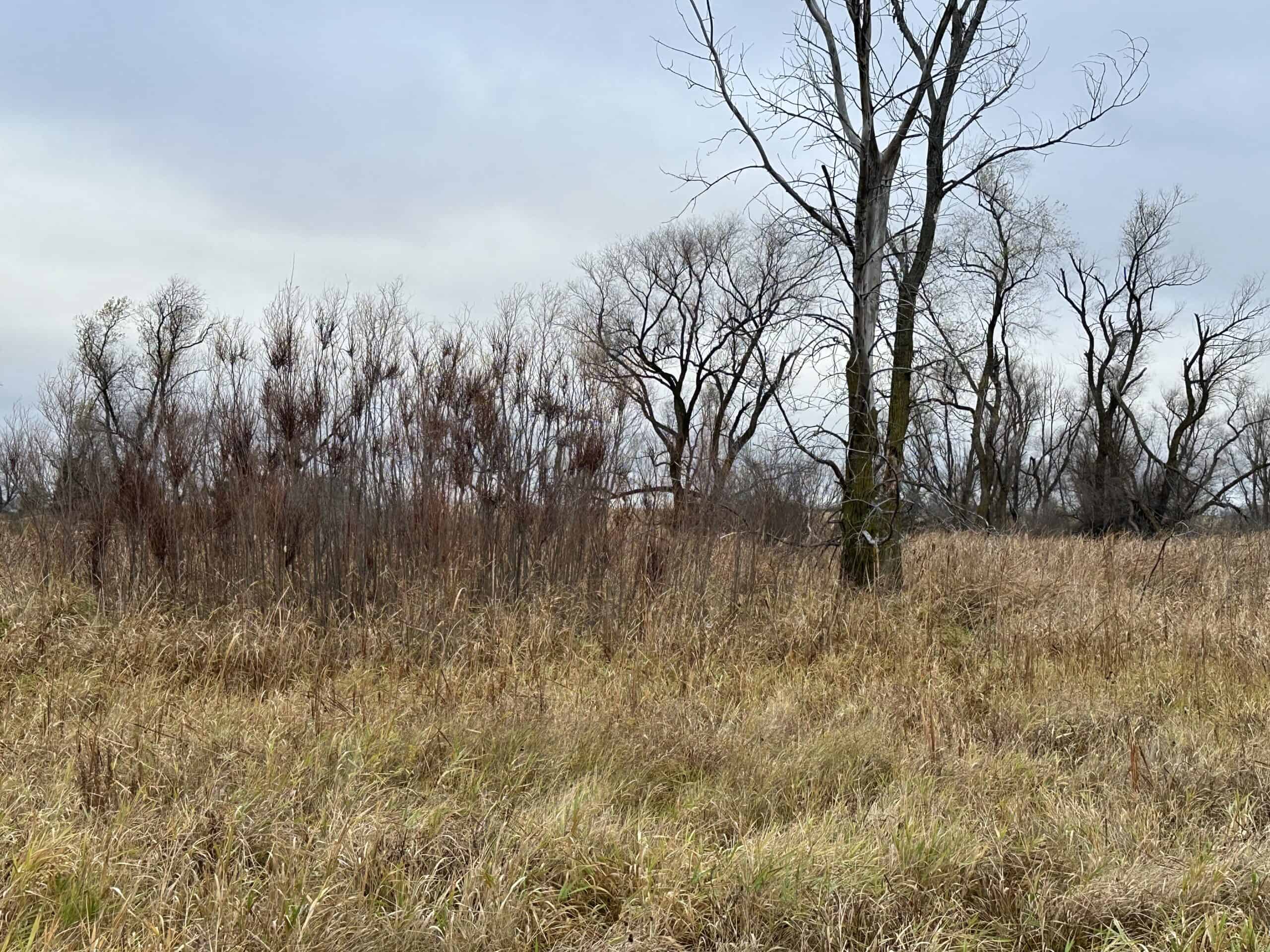 Tillable land, Hunting Land, And Buildable Ripon WI