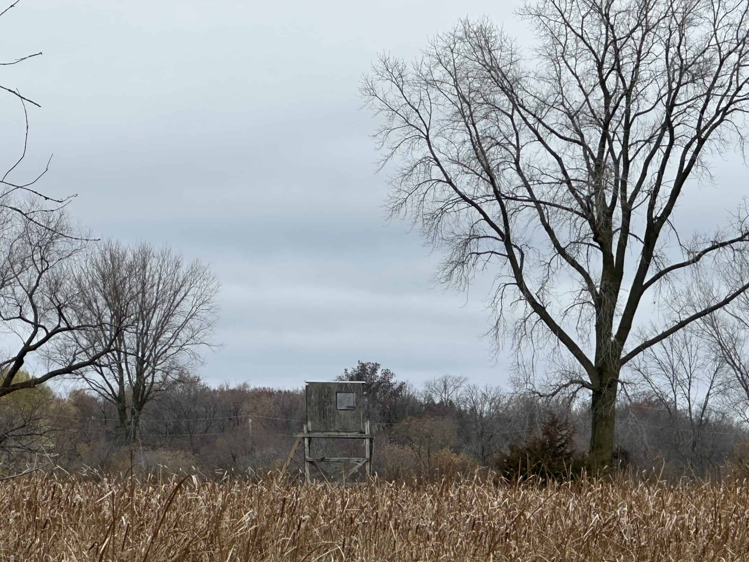 Tillable land, Hunting Land, And Buildable Ripon WI