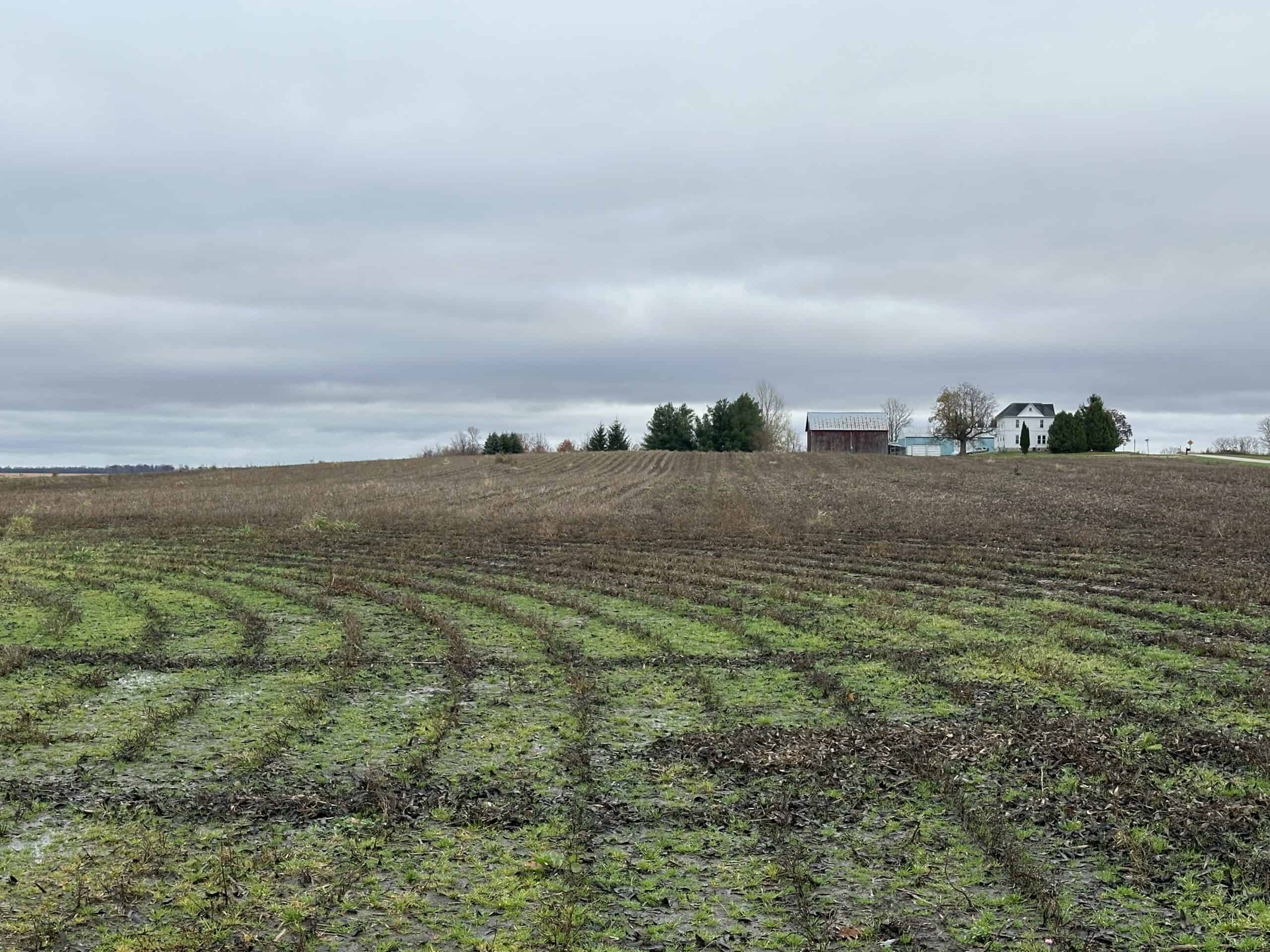 Tillable land, Hunting Land, And Buildable Ripon WI
