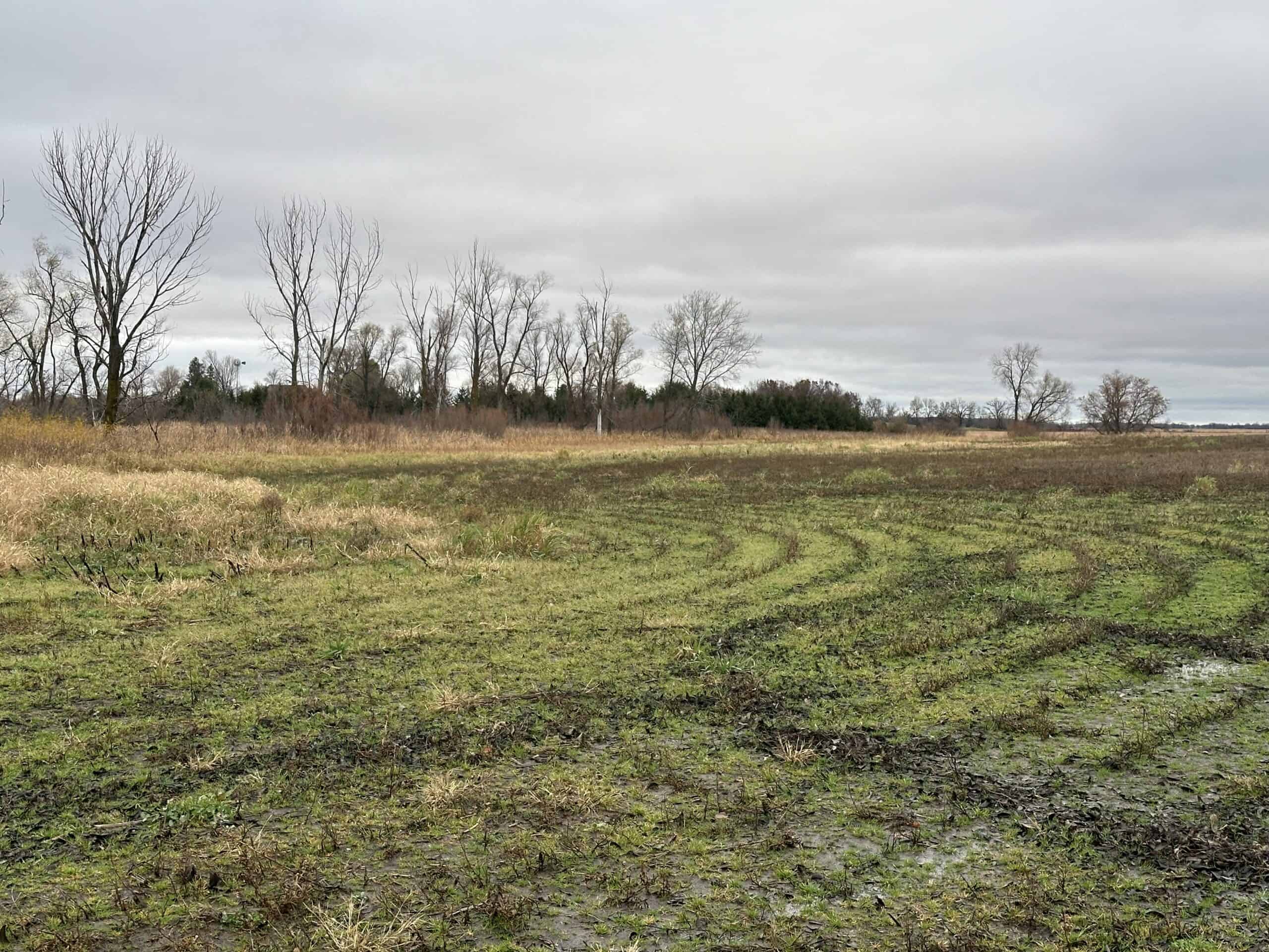 Tillable land, Hunting Land, And Buildable Ripon WI