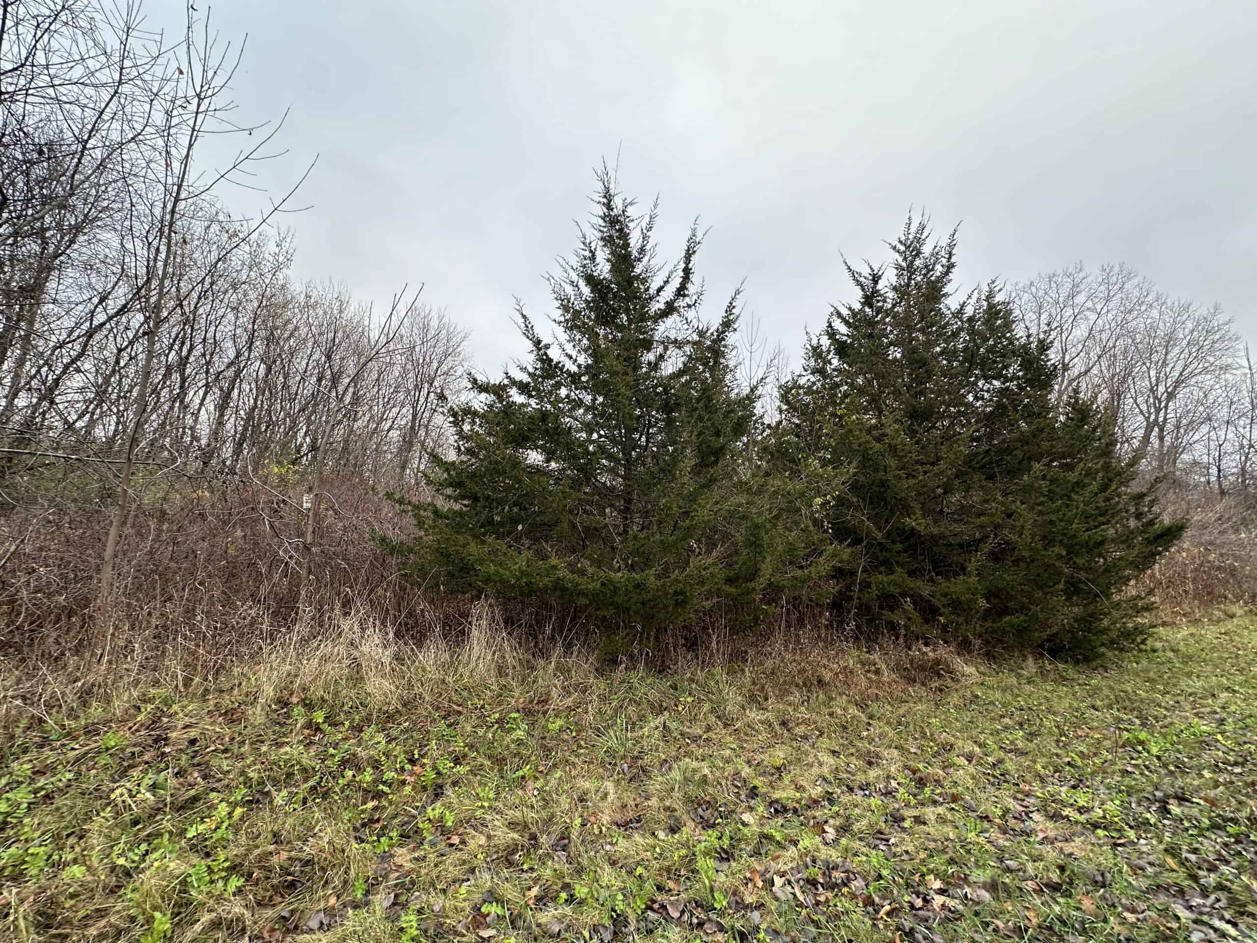 Tillable land, Hunting Land, And Buildable Ripon WI