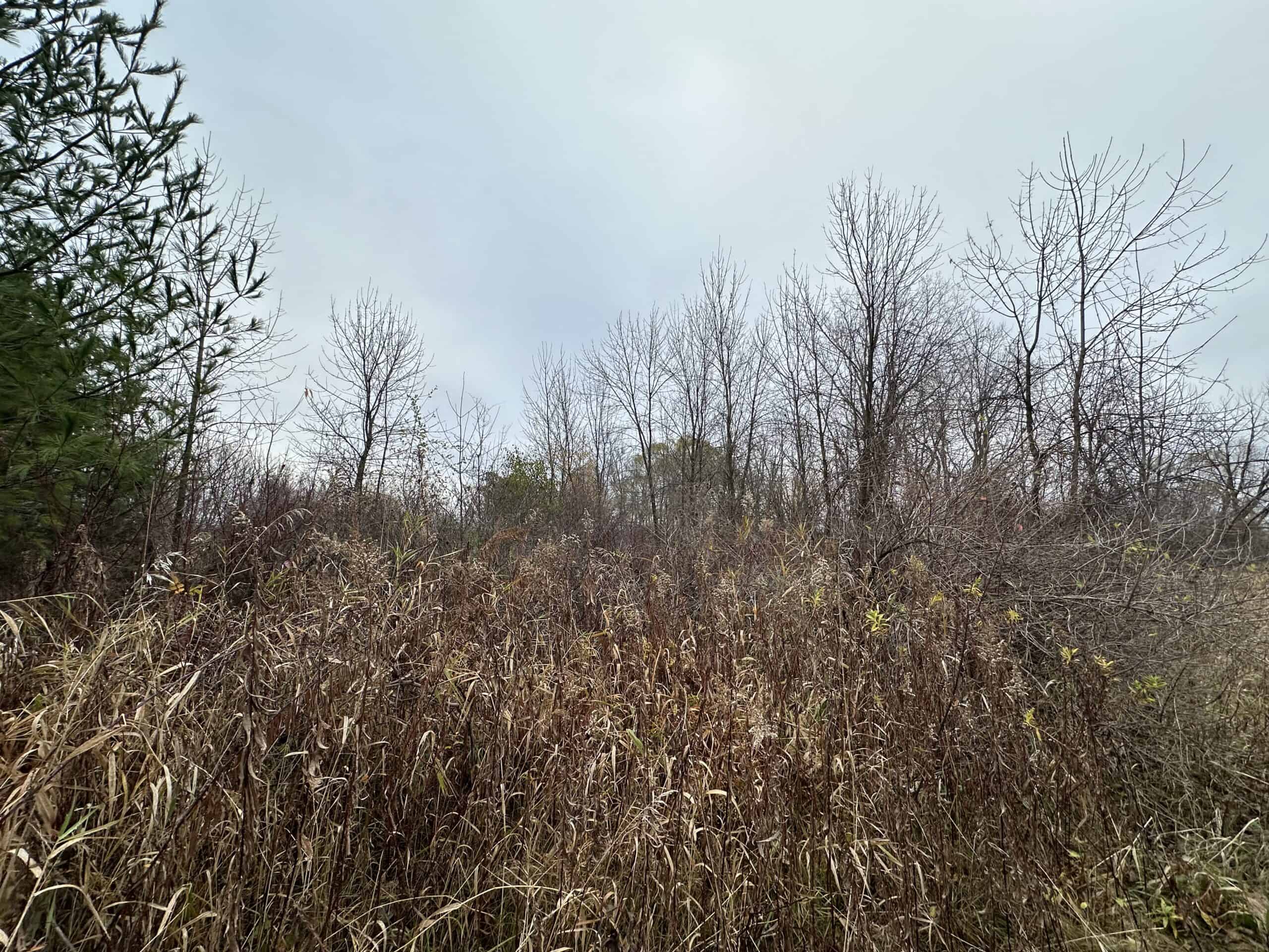 Tillable land, Hunting Land, And Buildable Ripon WI