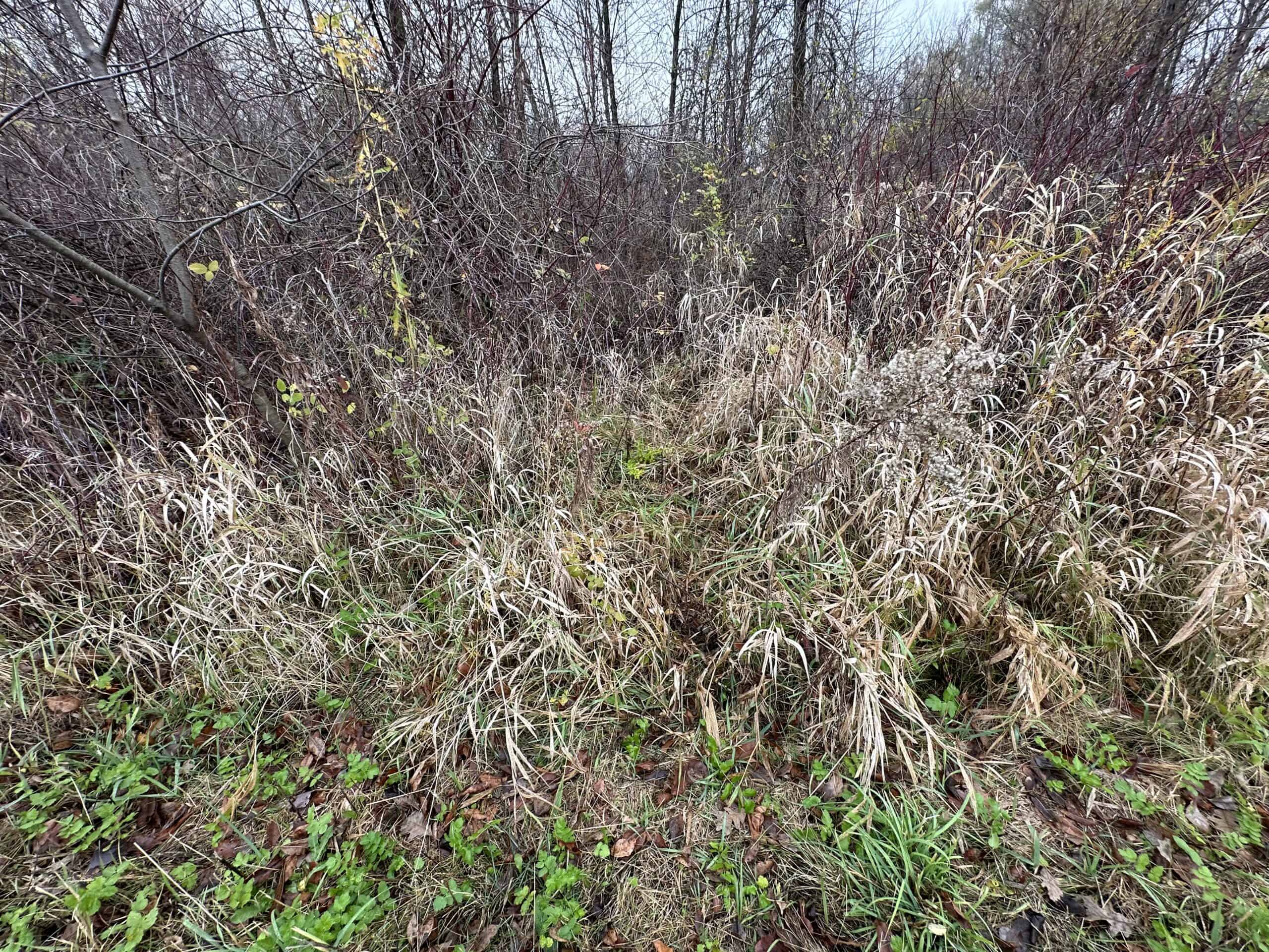 Tillable land, Hunting Land, And Buildable Ripon WI