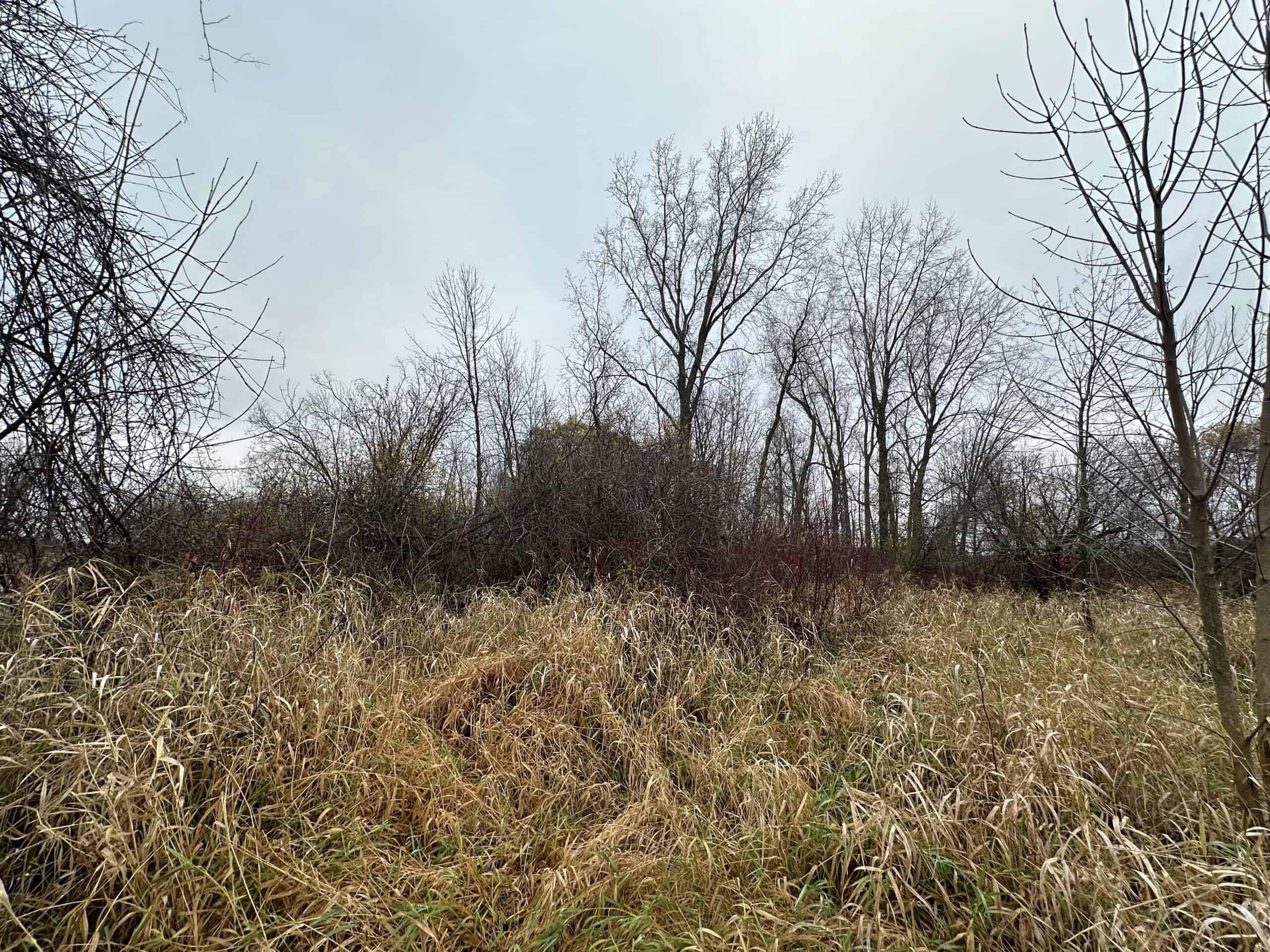 Tillable land, Hunting Land, And Buildable Ripon WI