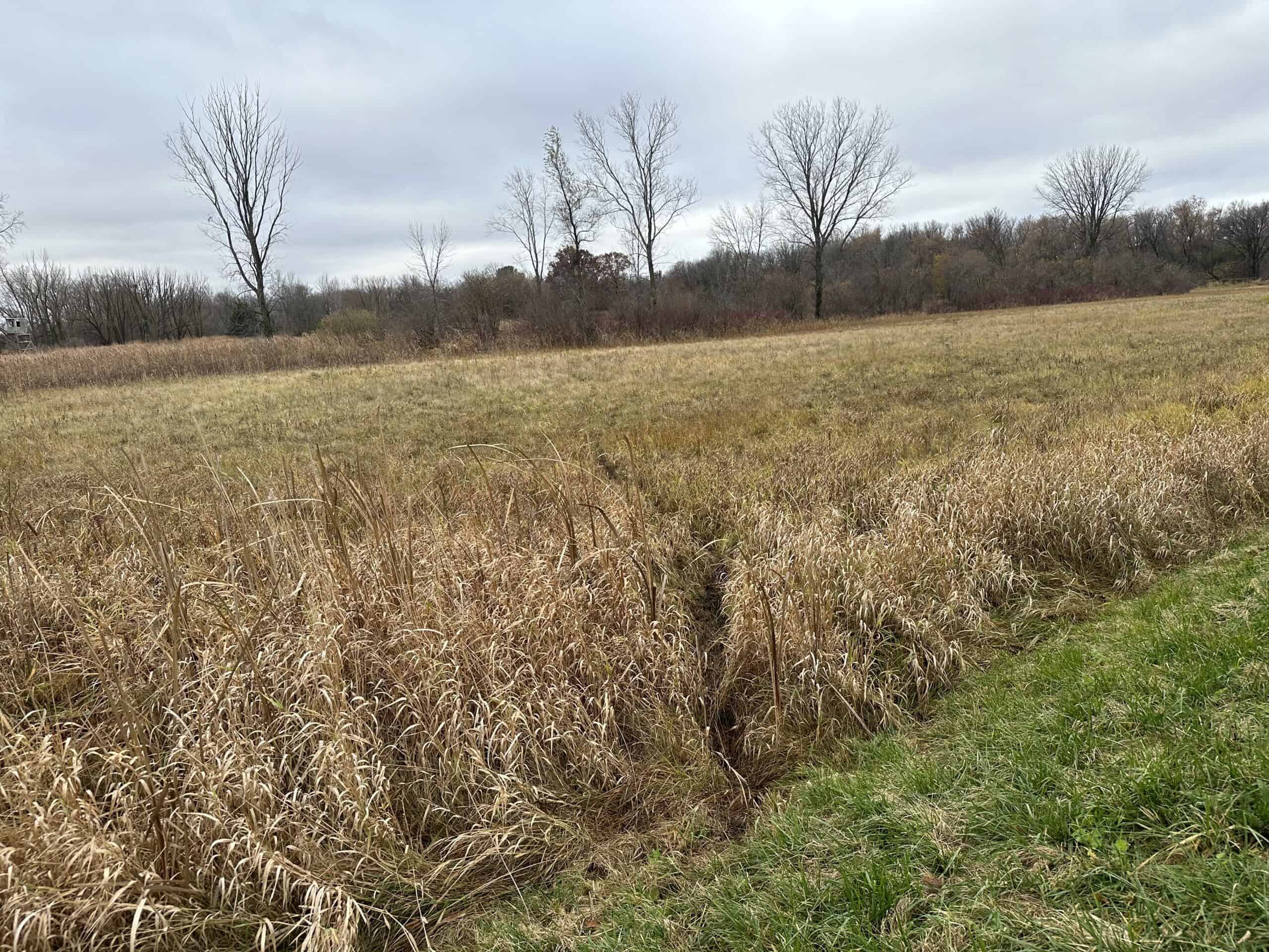 Tillable land, Hunting Land, And Buildable Ripon WI