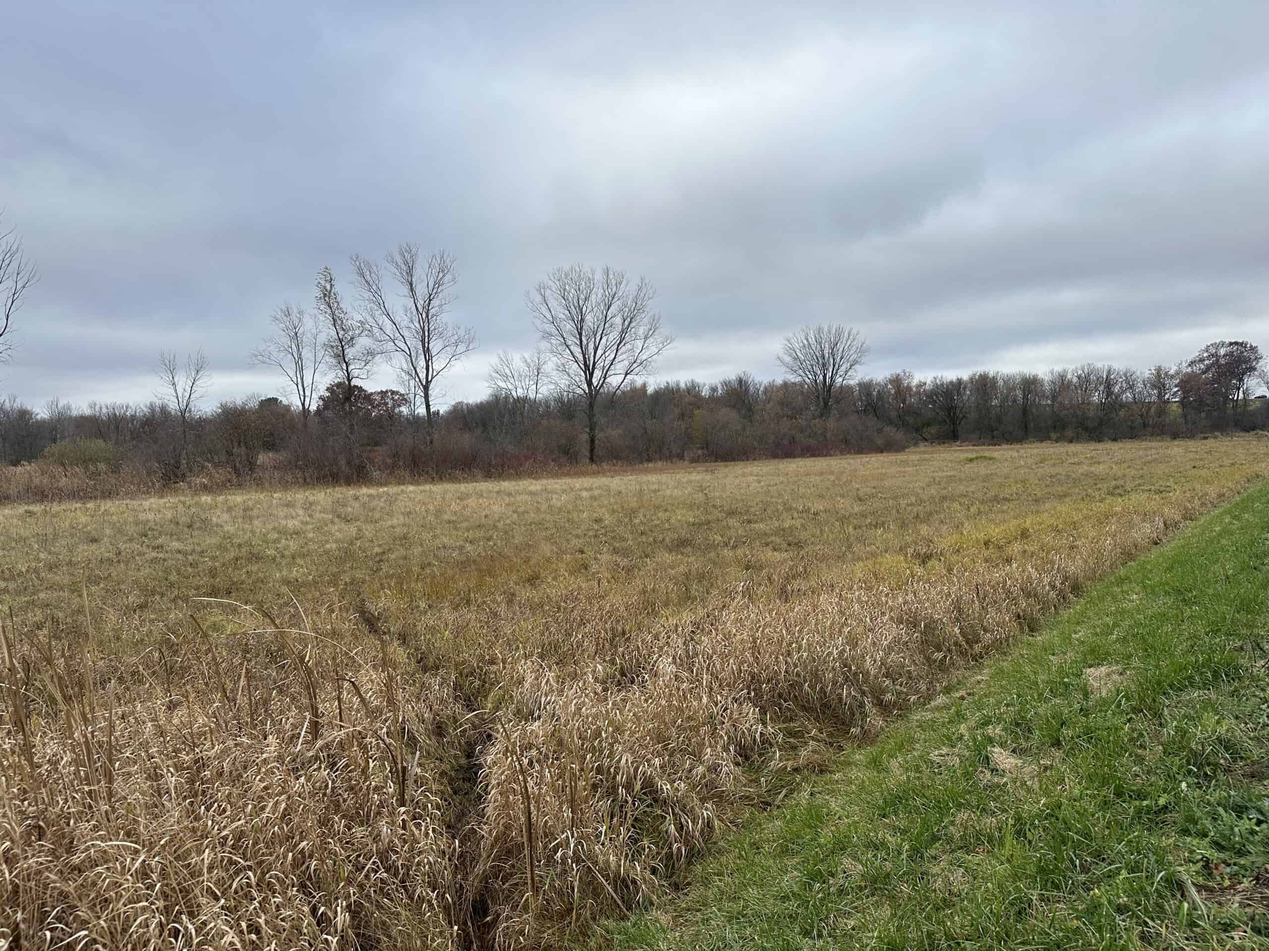 Tillable land, Hunting Land, And Buildable Ripon WI