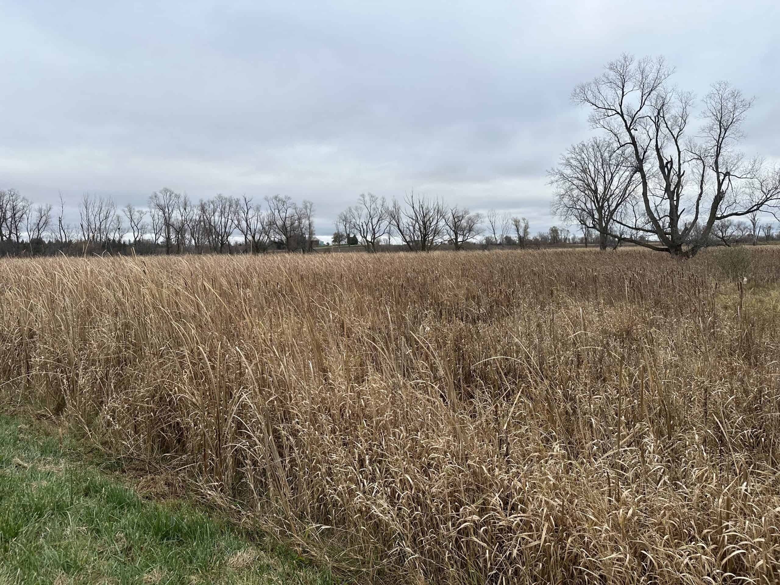 Tillable land, Hunting Land, And Buildable Ripon WI