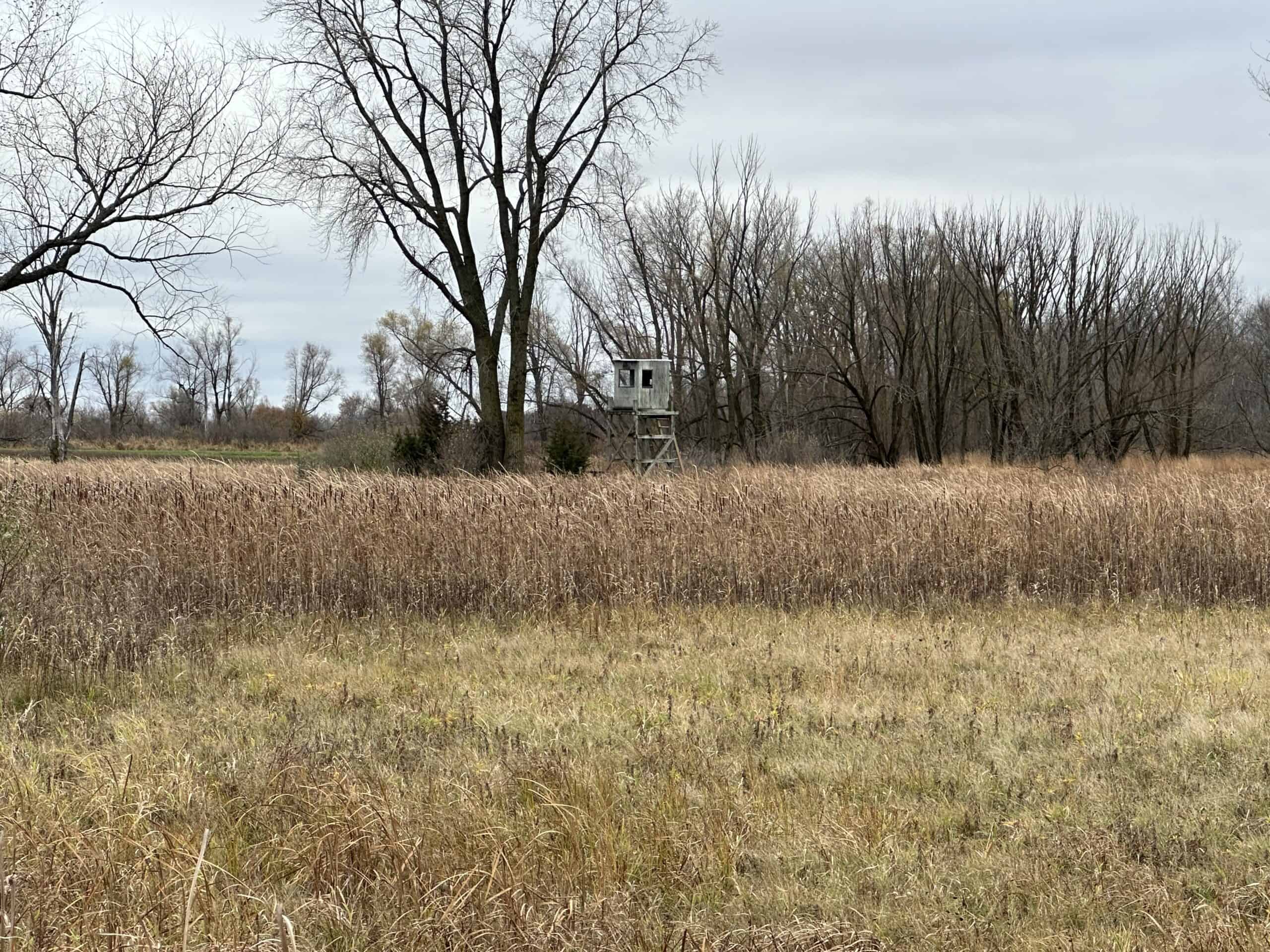 Tillable land, Hunting Land, And Buildable Ripon WI