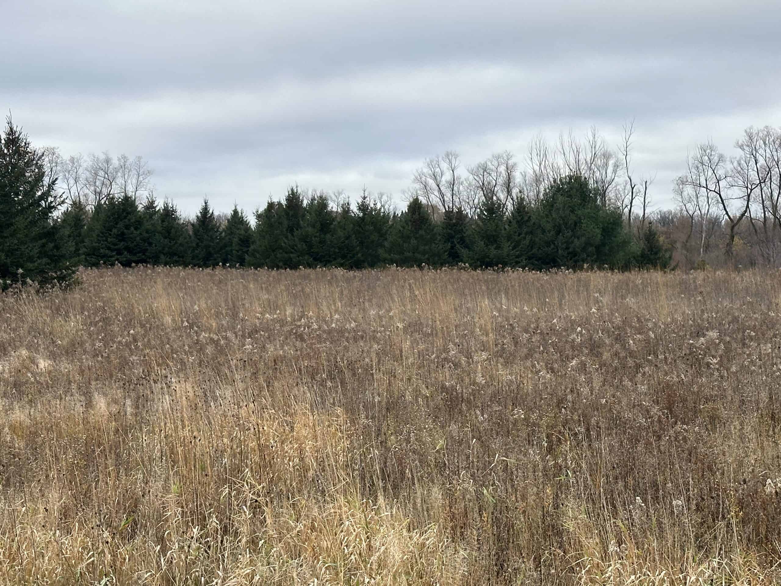 Tillable land, Hunting Land, And Buildable Ripon WI