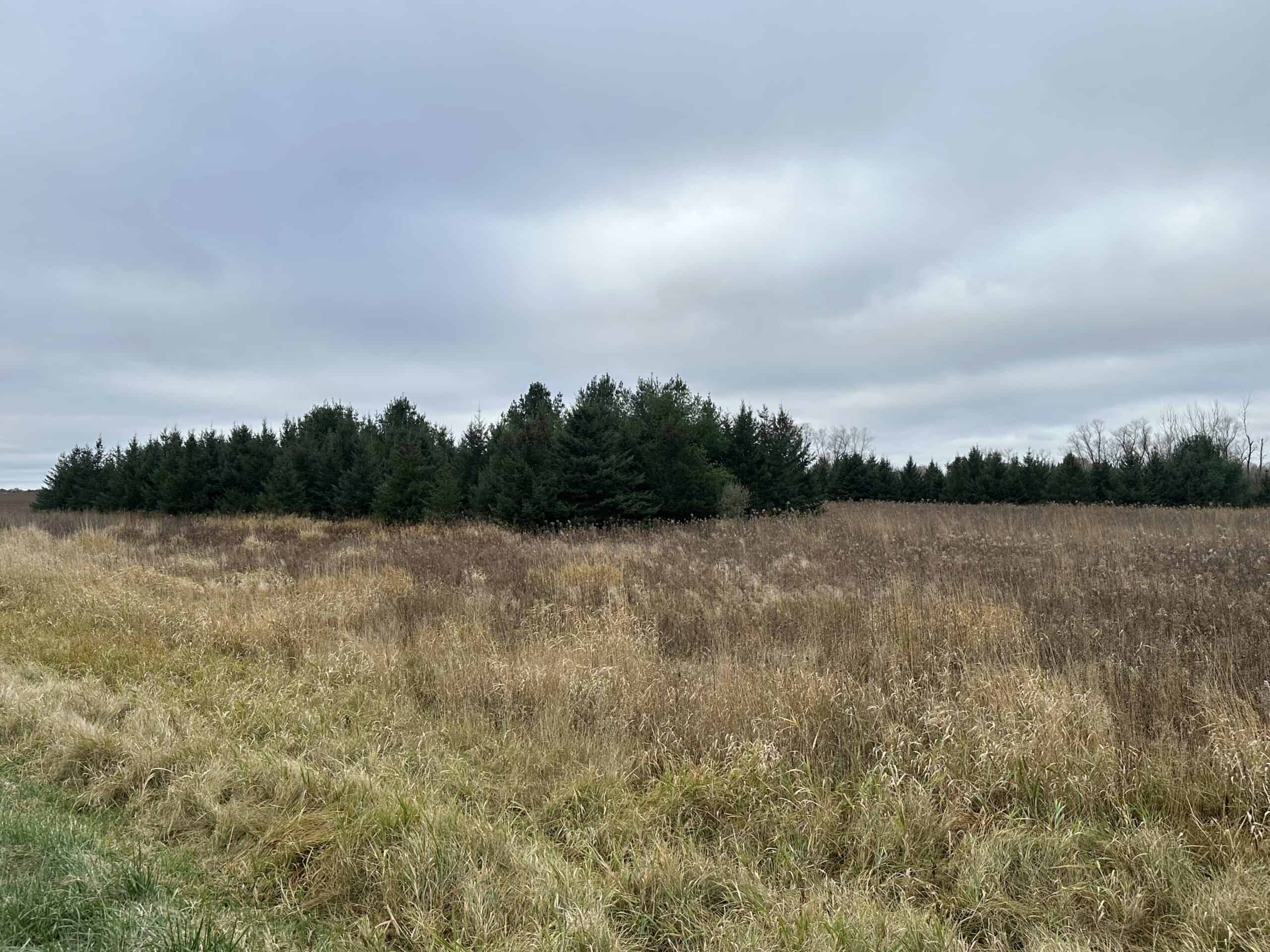 Tillable land, Hunting Land, And Buildable Ripon WI