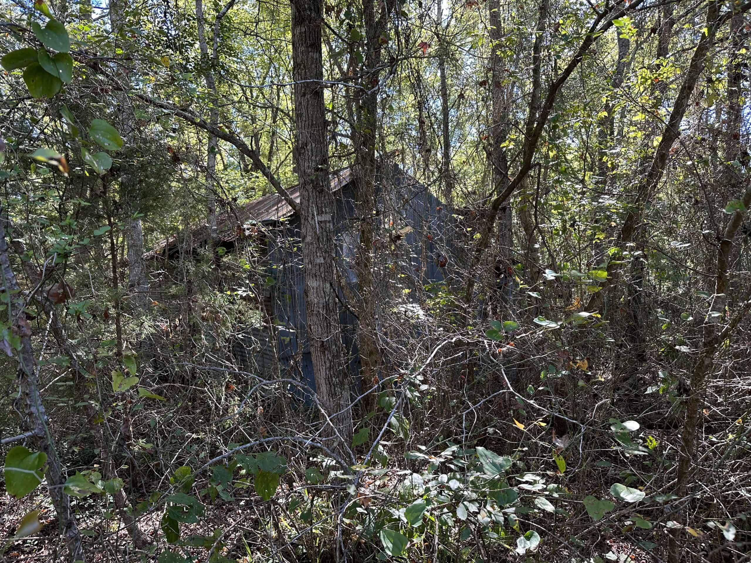 East Texas Recreational/Hunting/Timber Land For Sale