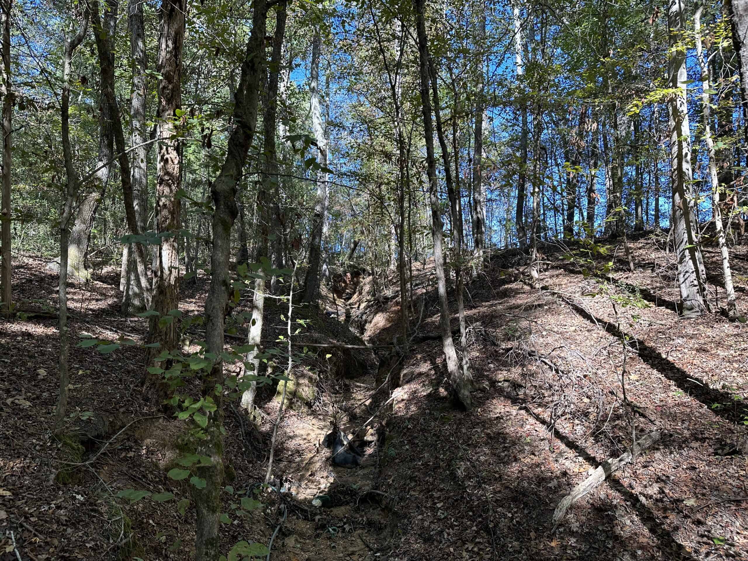 East Texas Recreational/Hunting/Timber Land For Sale