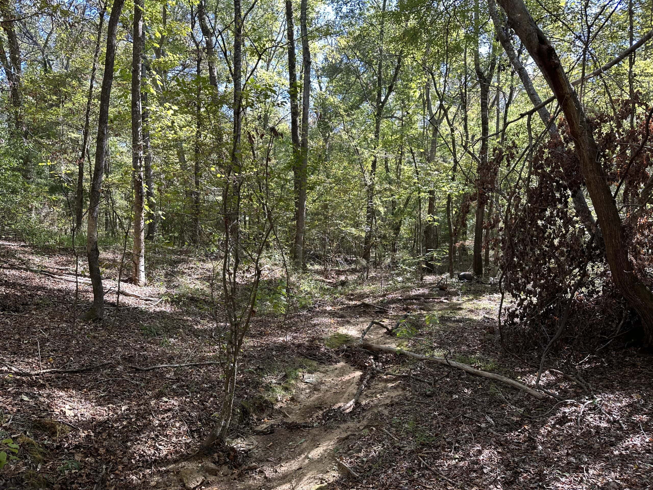 East Texas Recreational/Hunting/Timber Land For Sale