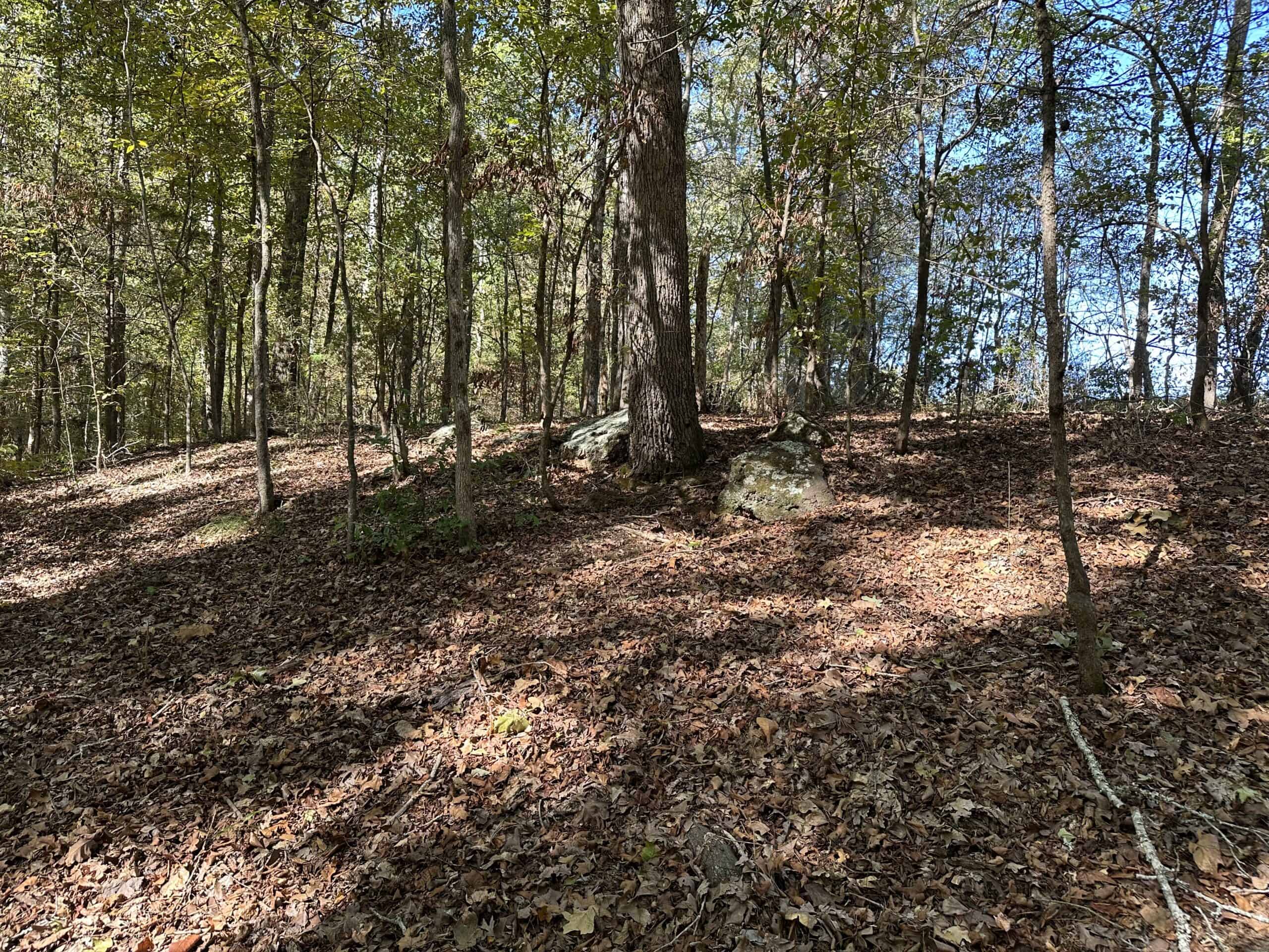 East Texas Recreational/Hunting/Timber Land For Sale