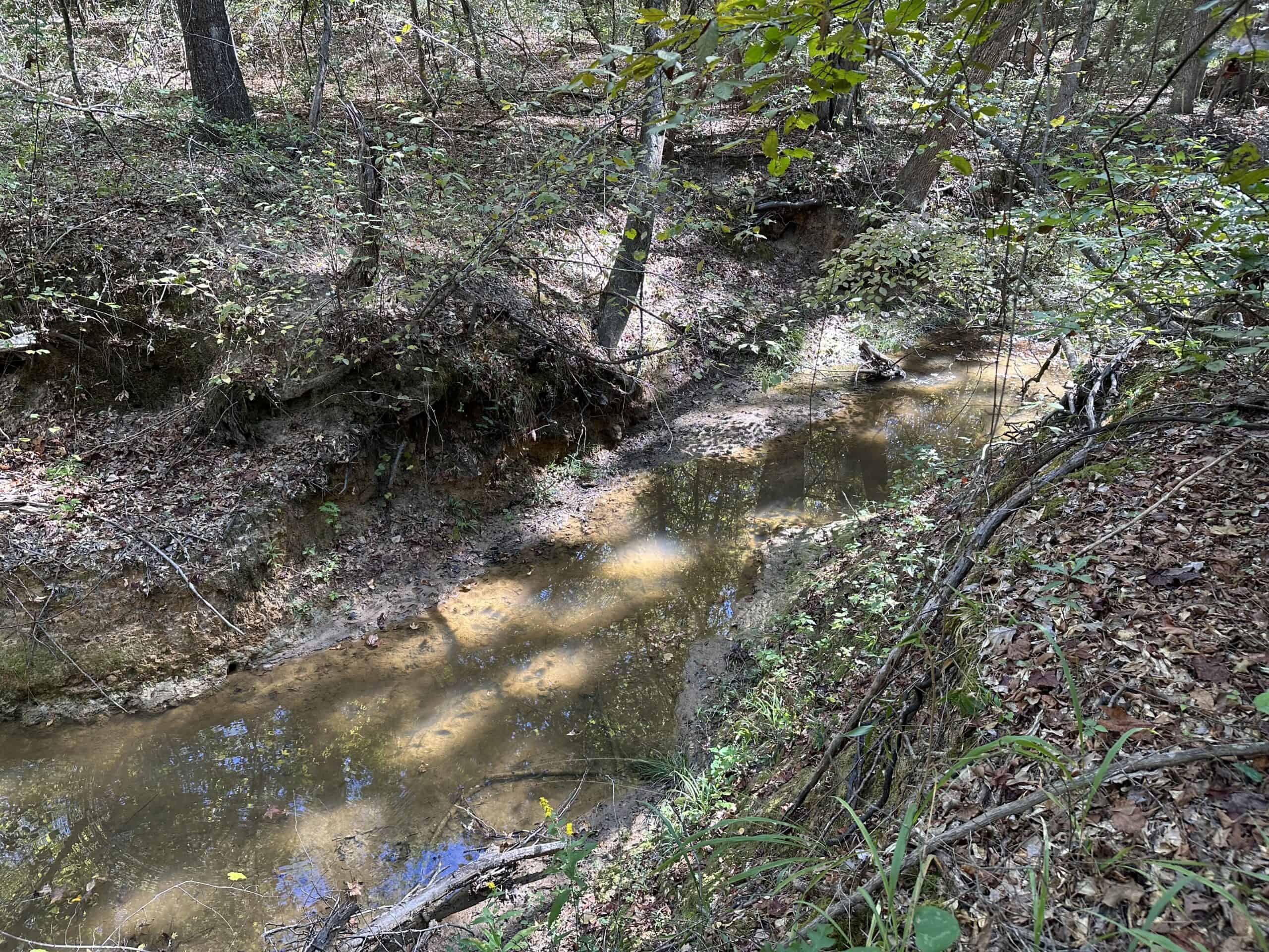 East Texas Recreational/Hunting/Timber Land For Sale