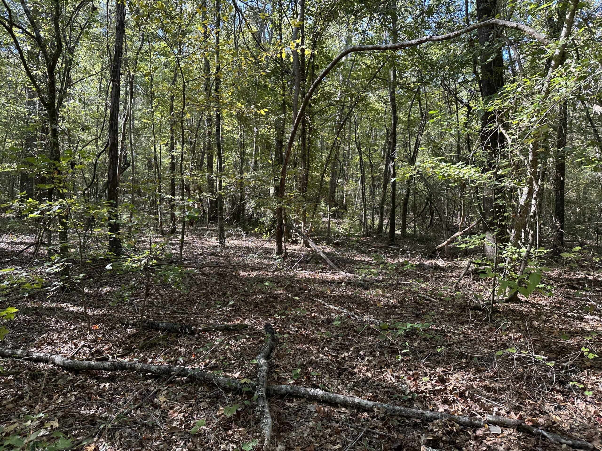 East Texas Recreational/Hunting/Timber Land For Sale