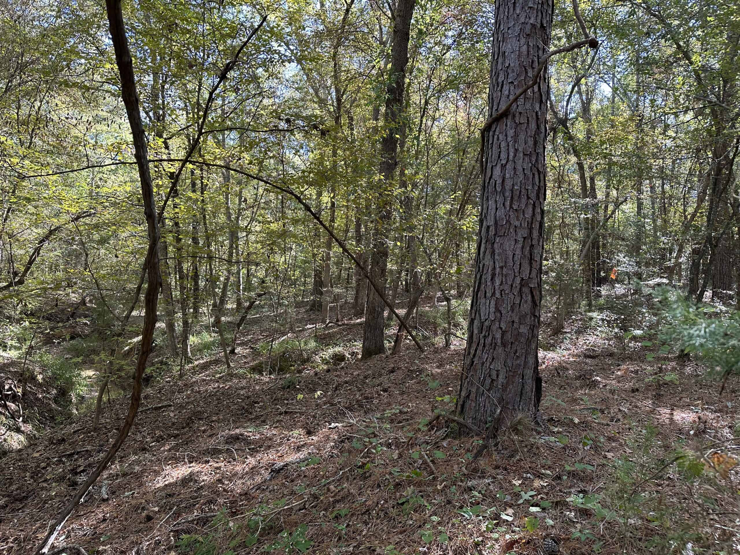 East Texas Recreational/Hunting/Timber Land For Sale