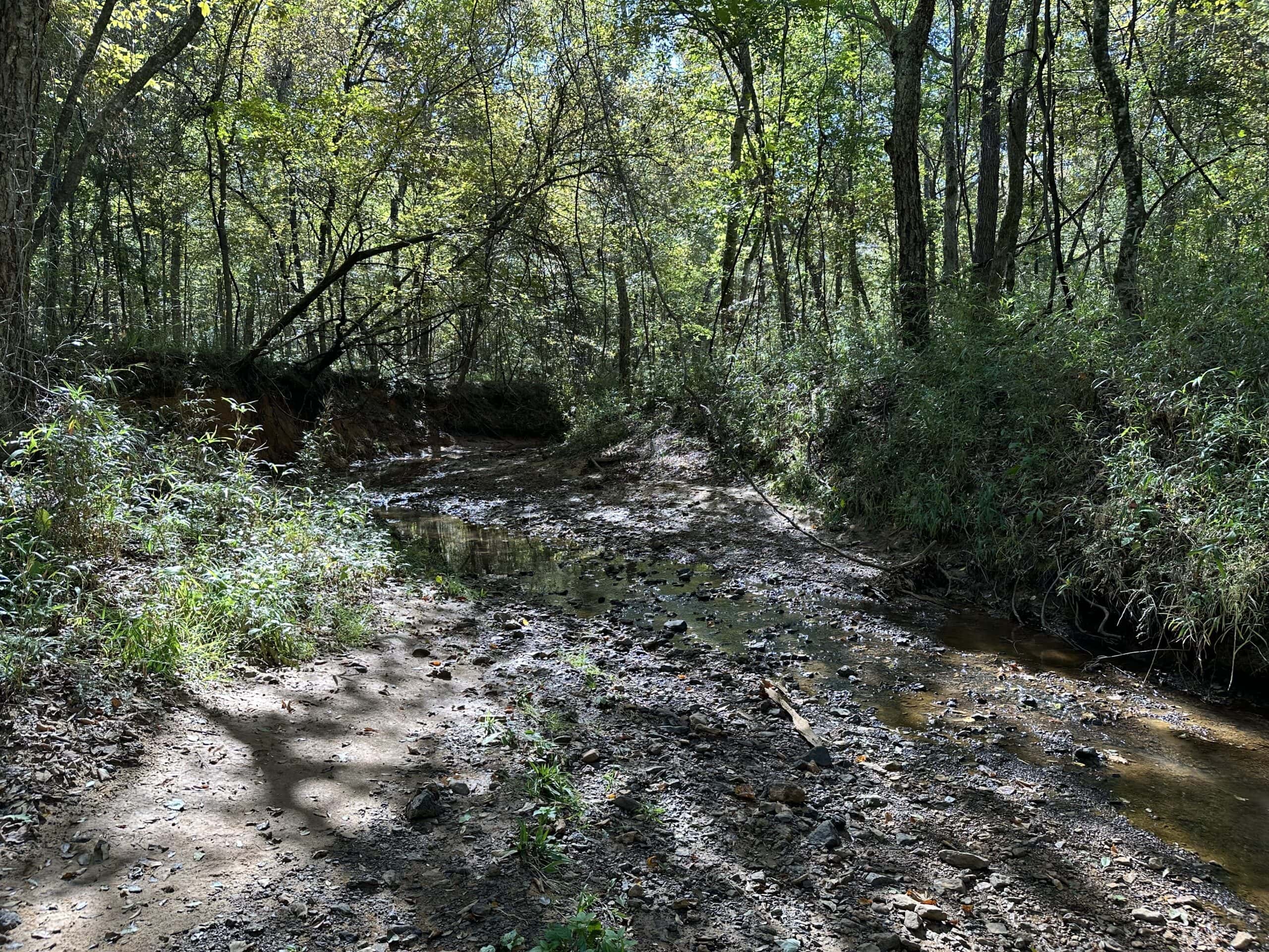 East Texas Recreational/Hunting/Timber Land For Sale