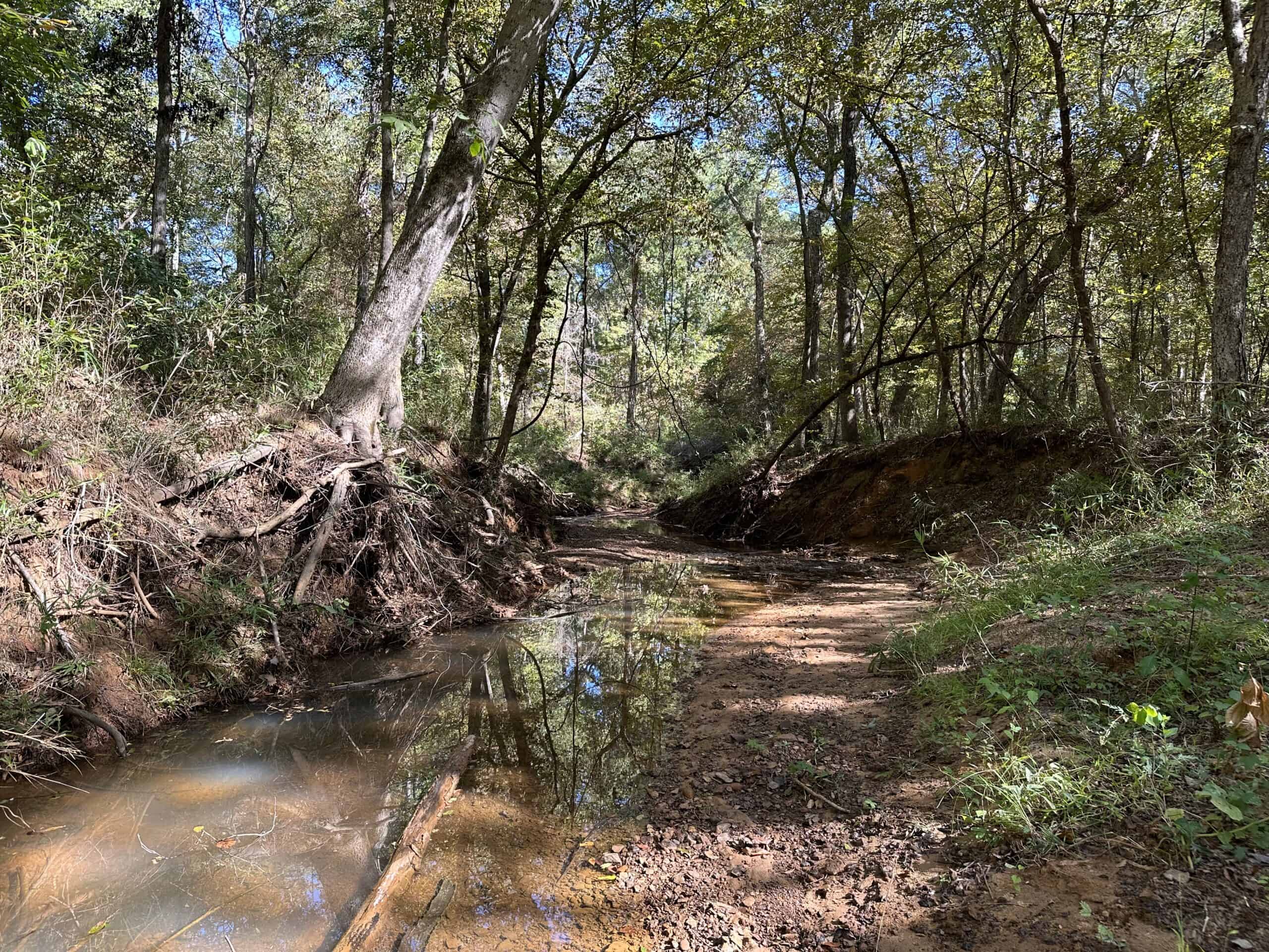 East Texas Recreational/Hunting/Timber Land For Sale