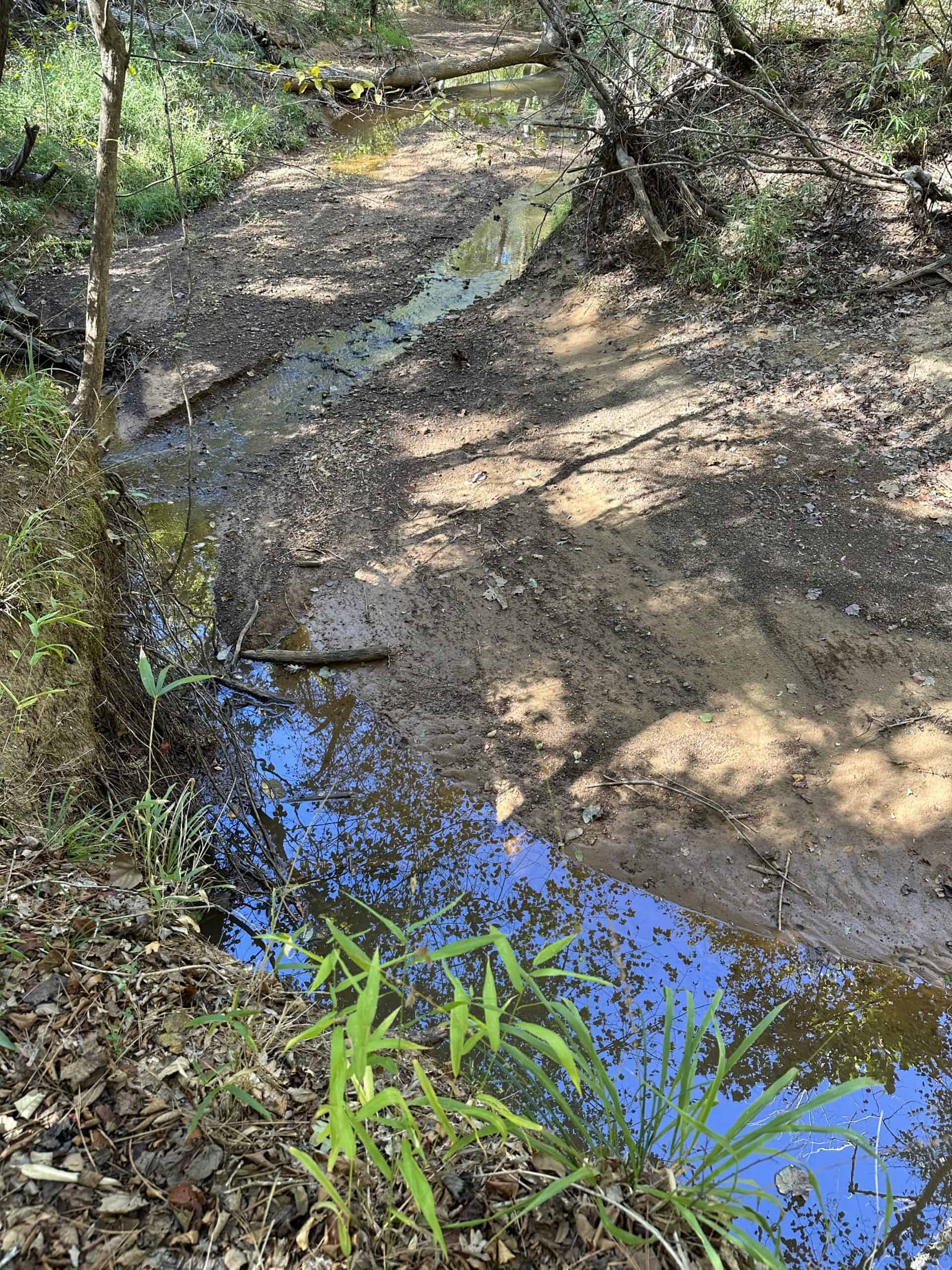 East Texas Recreational/Hunting/Timber Land For Sale