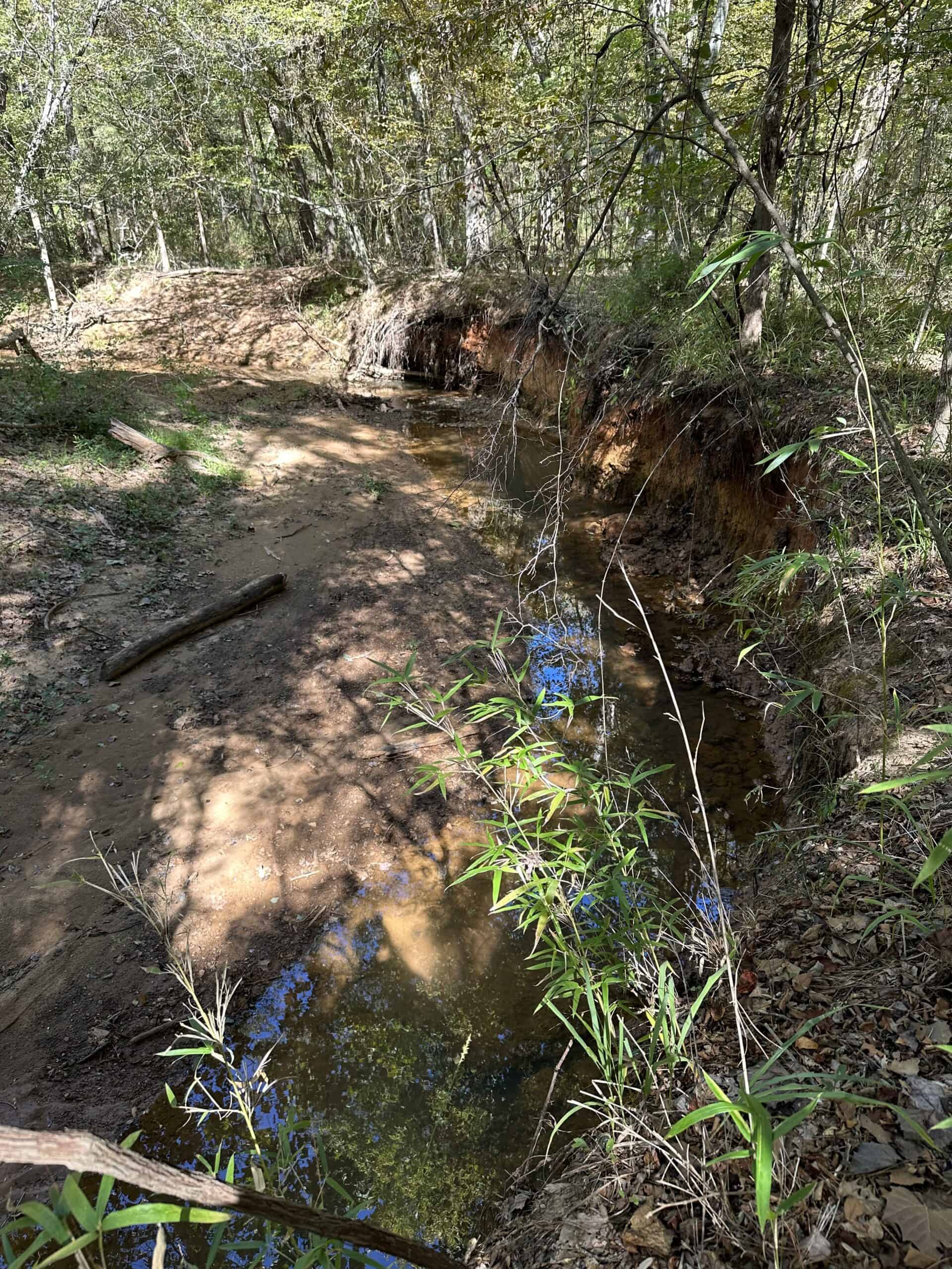 East Texas Recreational/Hunting/Timber Land For Sale