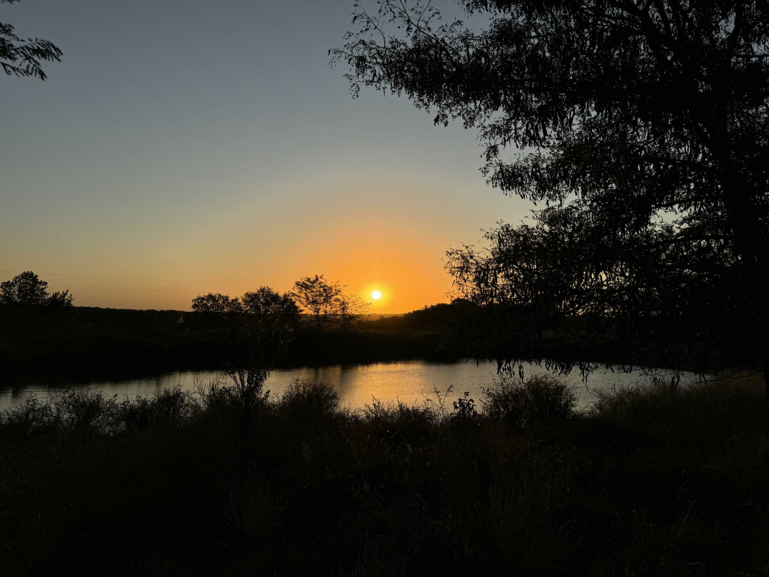 Cattle Farm with Hunting Opportunities in Dixon, MO