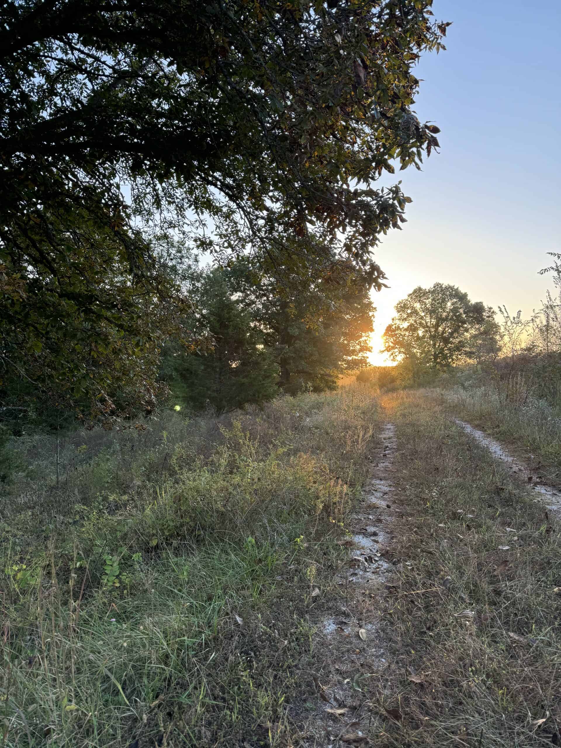 Cattle Farm with Hunting Opportunities in Dixon, MO