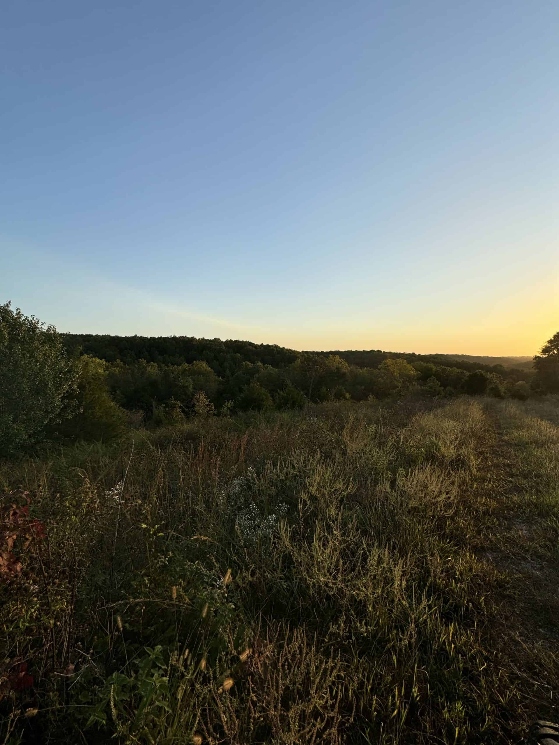 Cattle Farm with Hunting Opportunities in Dixon, MO