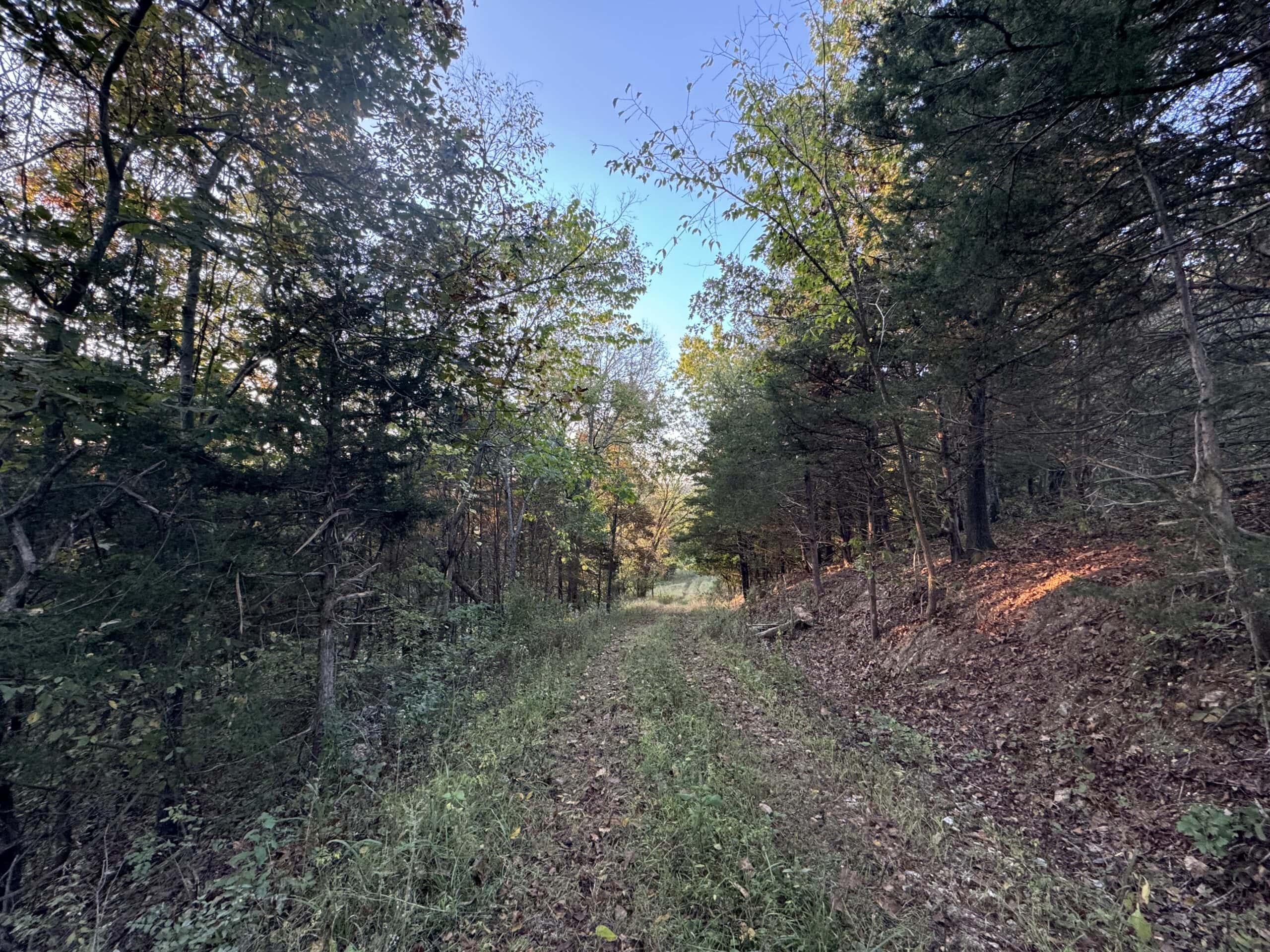 Cattle Farm with Hunting Opportunities in Dixon, MO