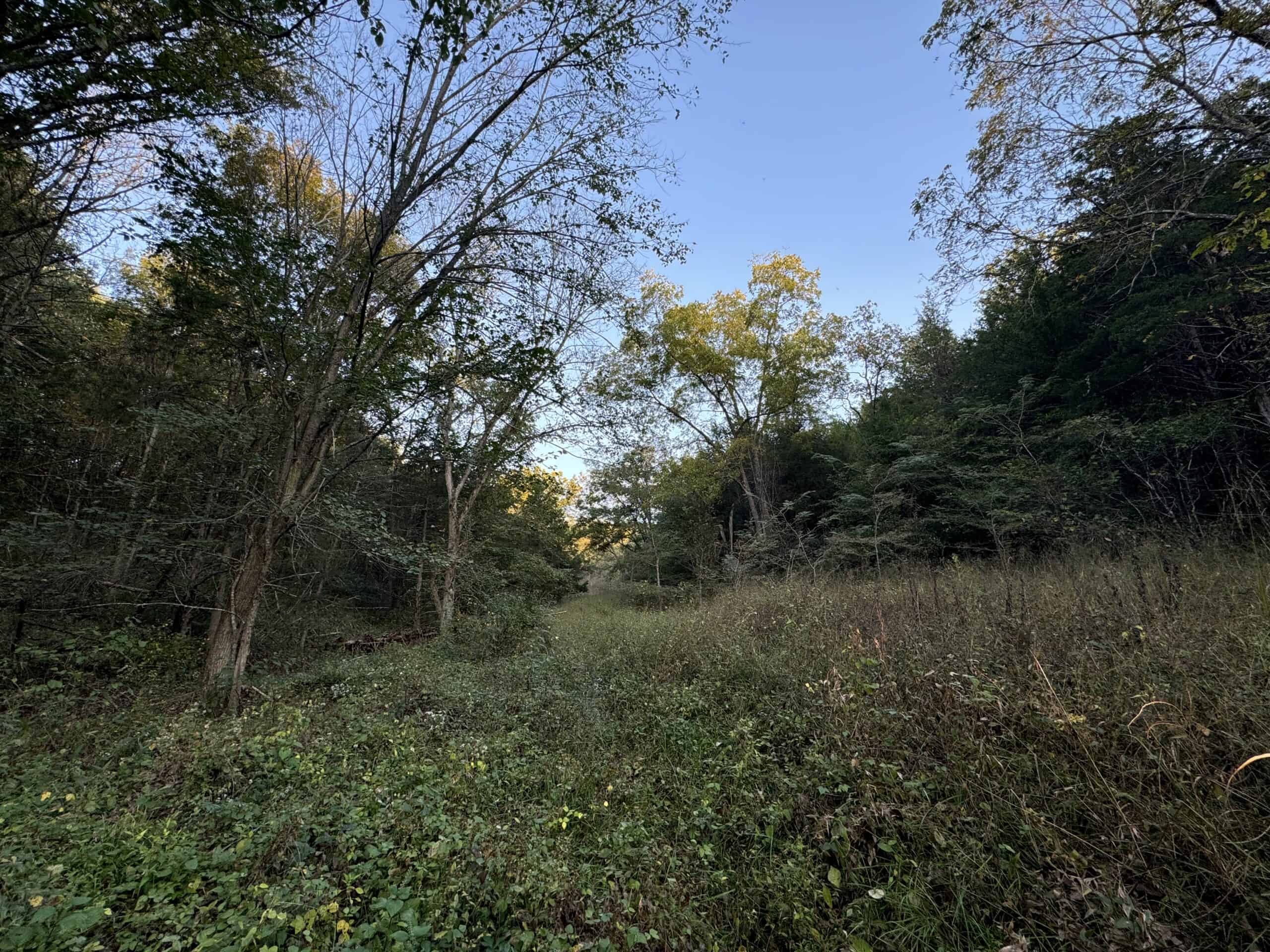 Cattle Farm with Hunting Opportunities in Dixon, MO