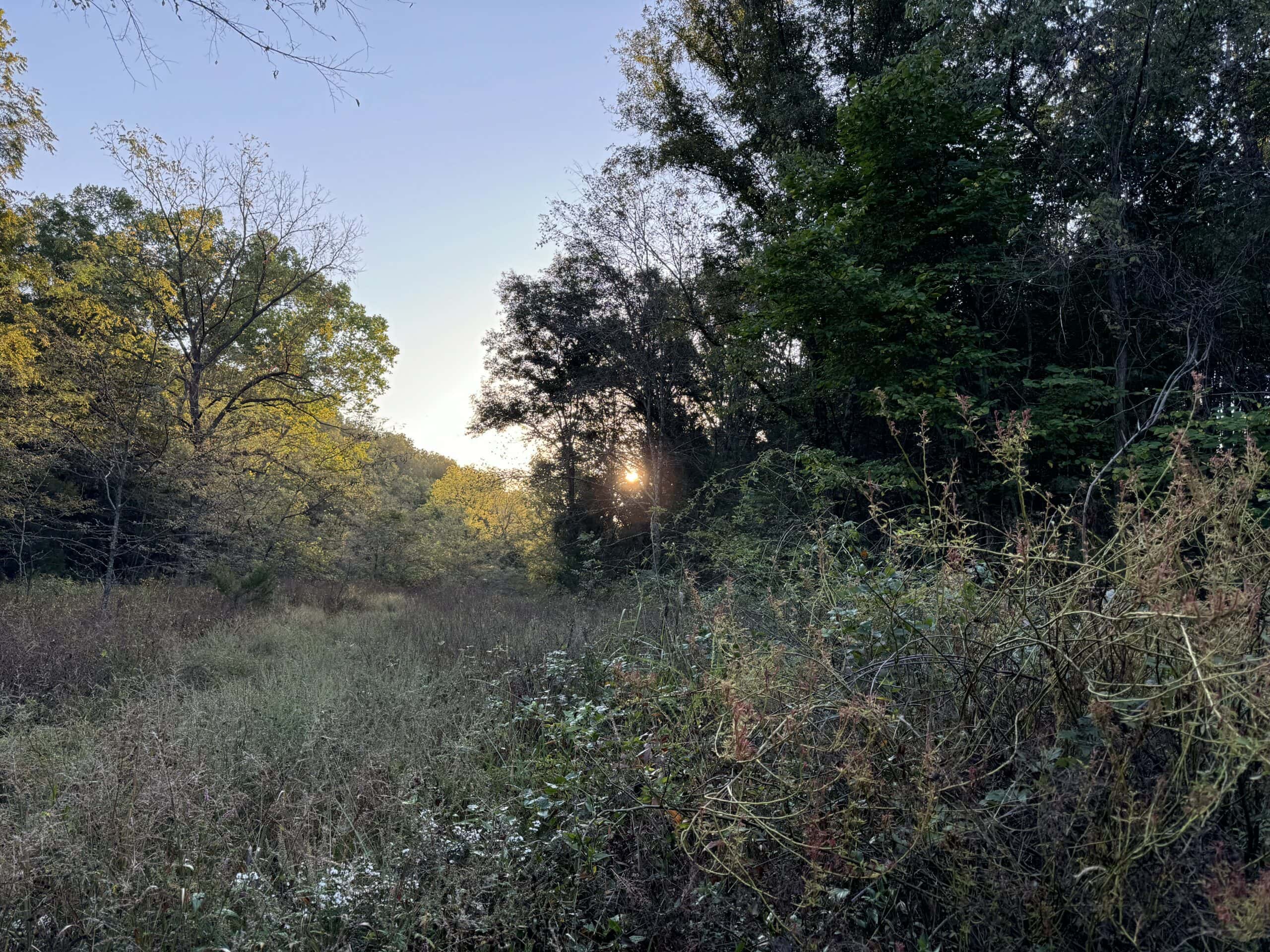 Cattle Farm with Hunting Opportunities in Dixon, MO